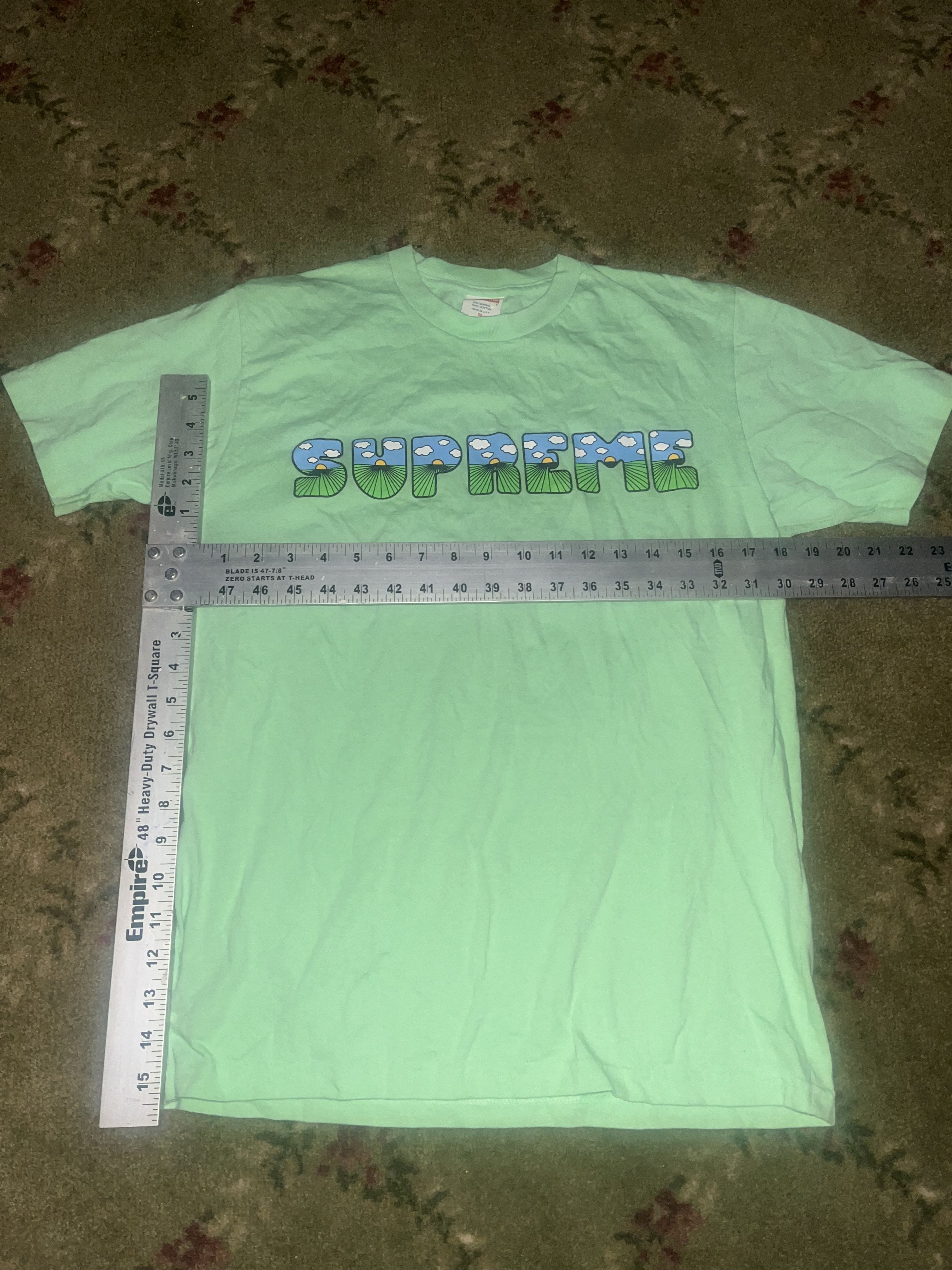 Supreme SS16 Supreme Mint This the 💩 Tee Size US M / EU 48-50 / 2 - 6 Thumbnail