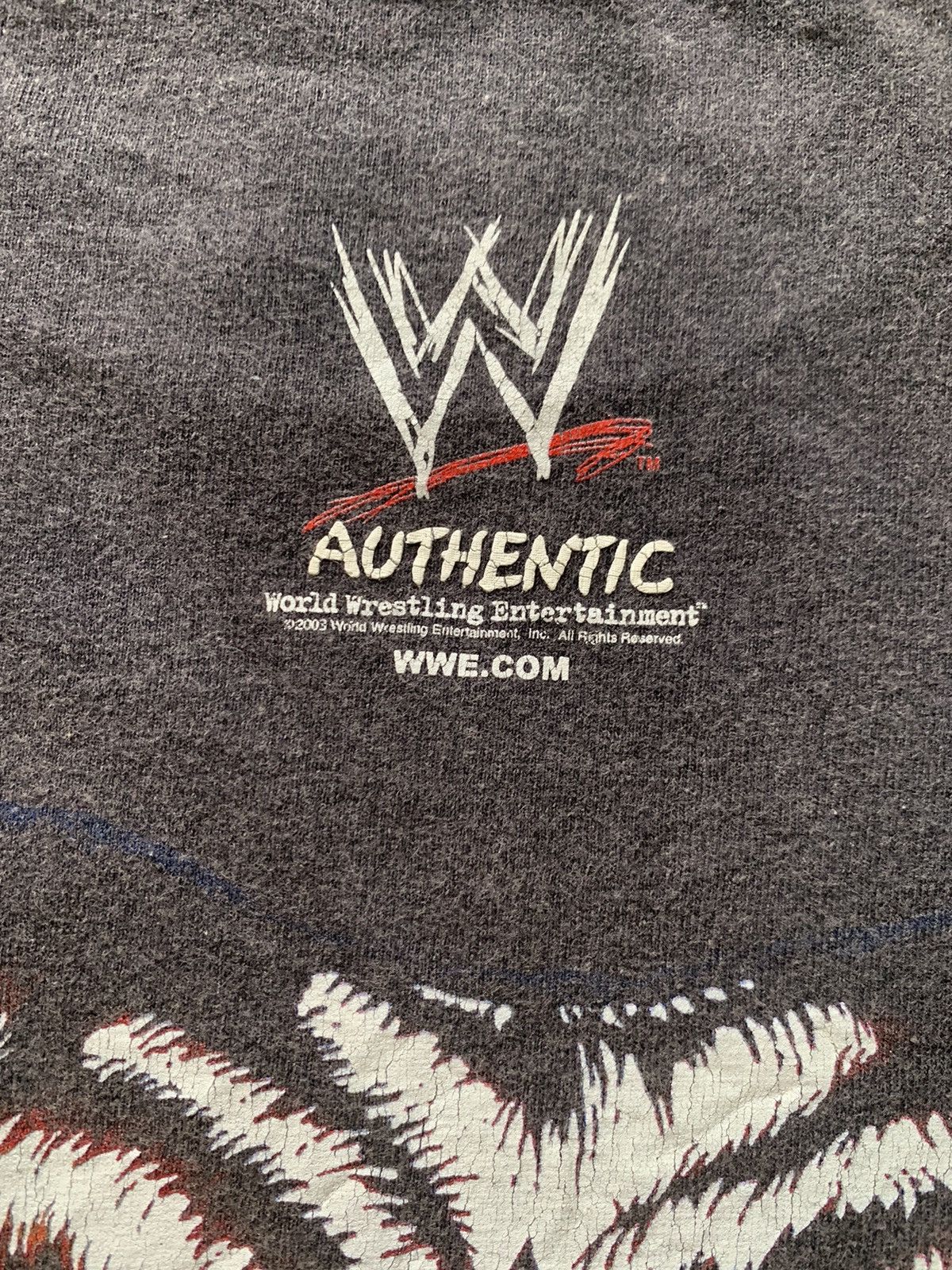 WWE VINTAGE WWE AUTHENTIC UNLEASHED FURY RARE TEE Size US M / EU 48-50 / 2 - 13 Thumbnail
