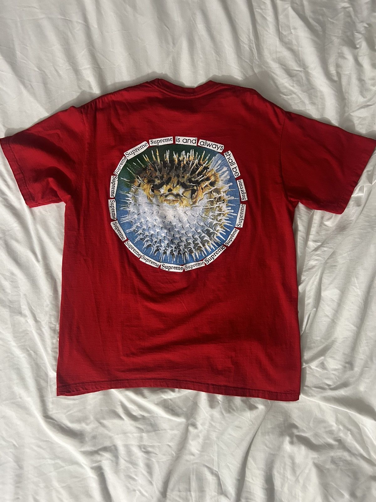 Supreme Supreme Blowfish Tee Size US L / EU 52-54 / 3 - 1 Thumbnail