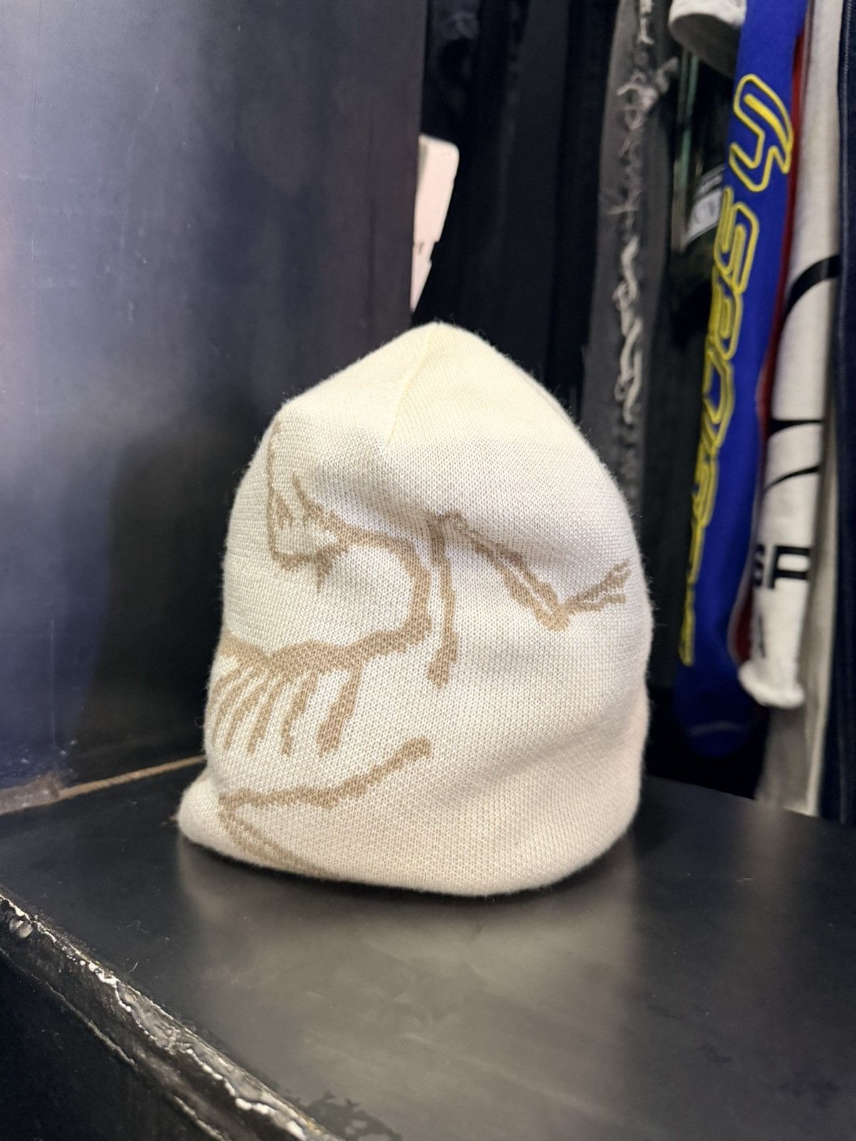 Arc'teryx Arcteryx beanie Size ONE SIZE - 2 Thumbnail