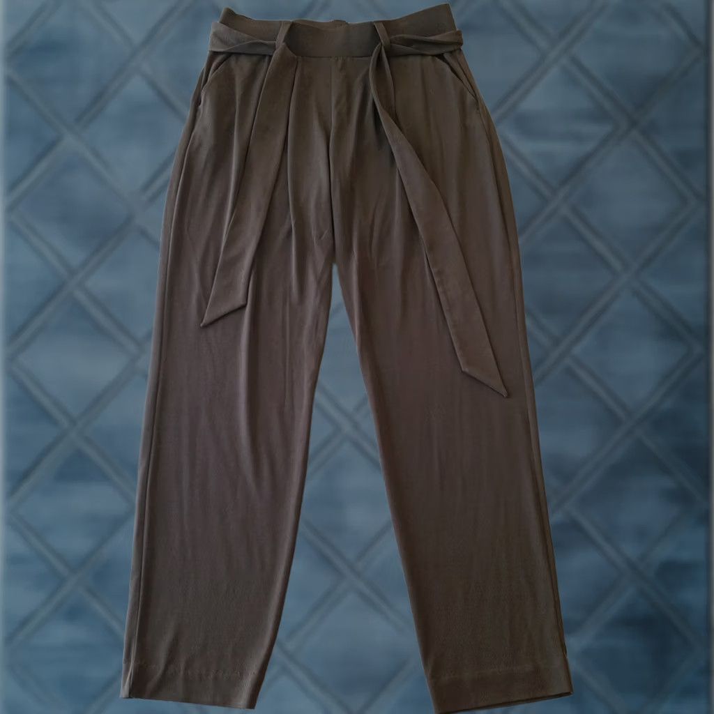 Express Express Ankle Pants Womens Small Green Belted Pleated Pull On Stretch 28x28 Size 28" / US 6 / IT 42 - 1 Thumbnail