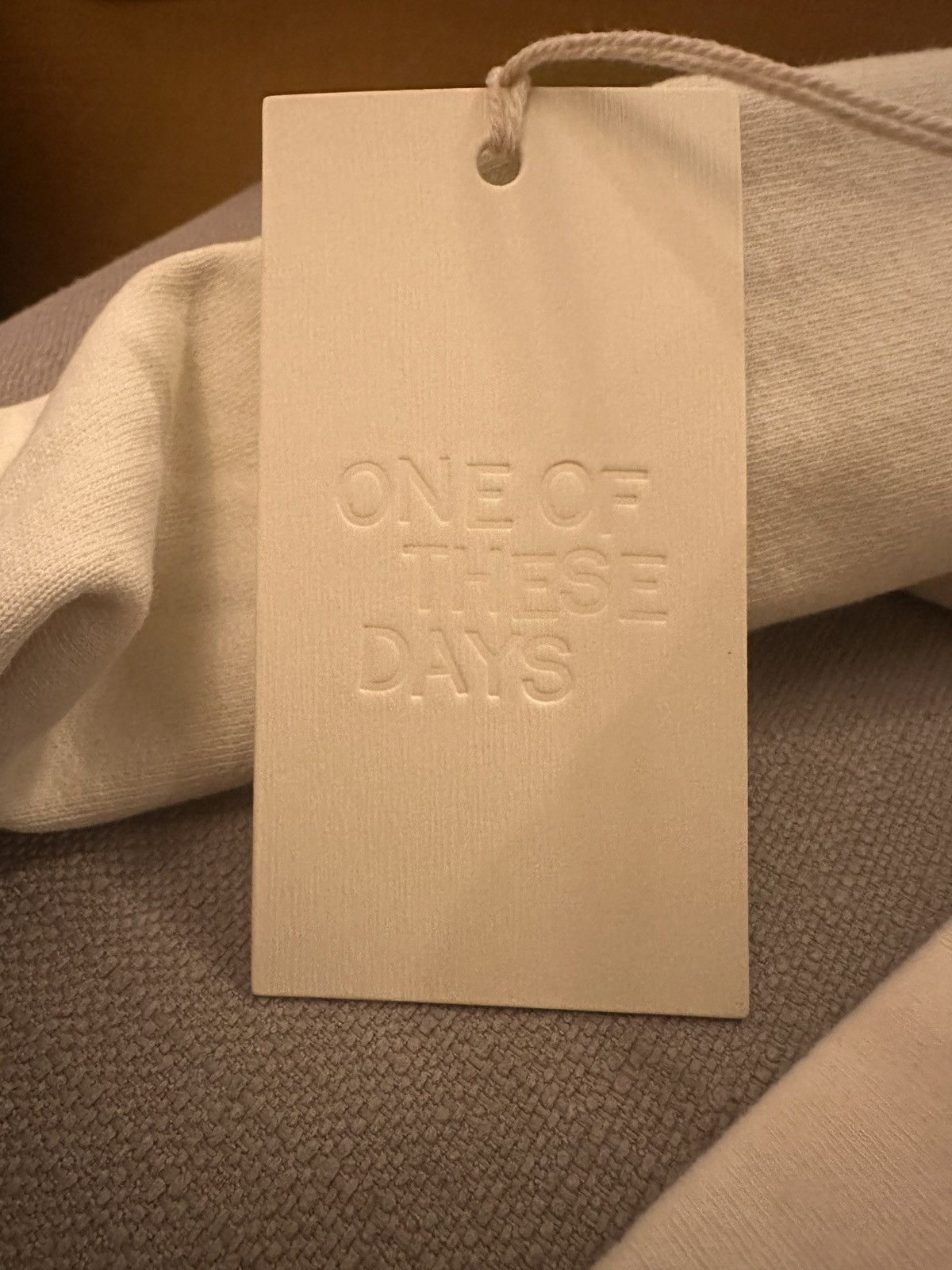One of These Days ONE OF THESE DAYS. Cathedral of Dust Hooded Sweatshirt Size US S / EU 44-46 / 1 - 5 Thumbnail
