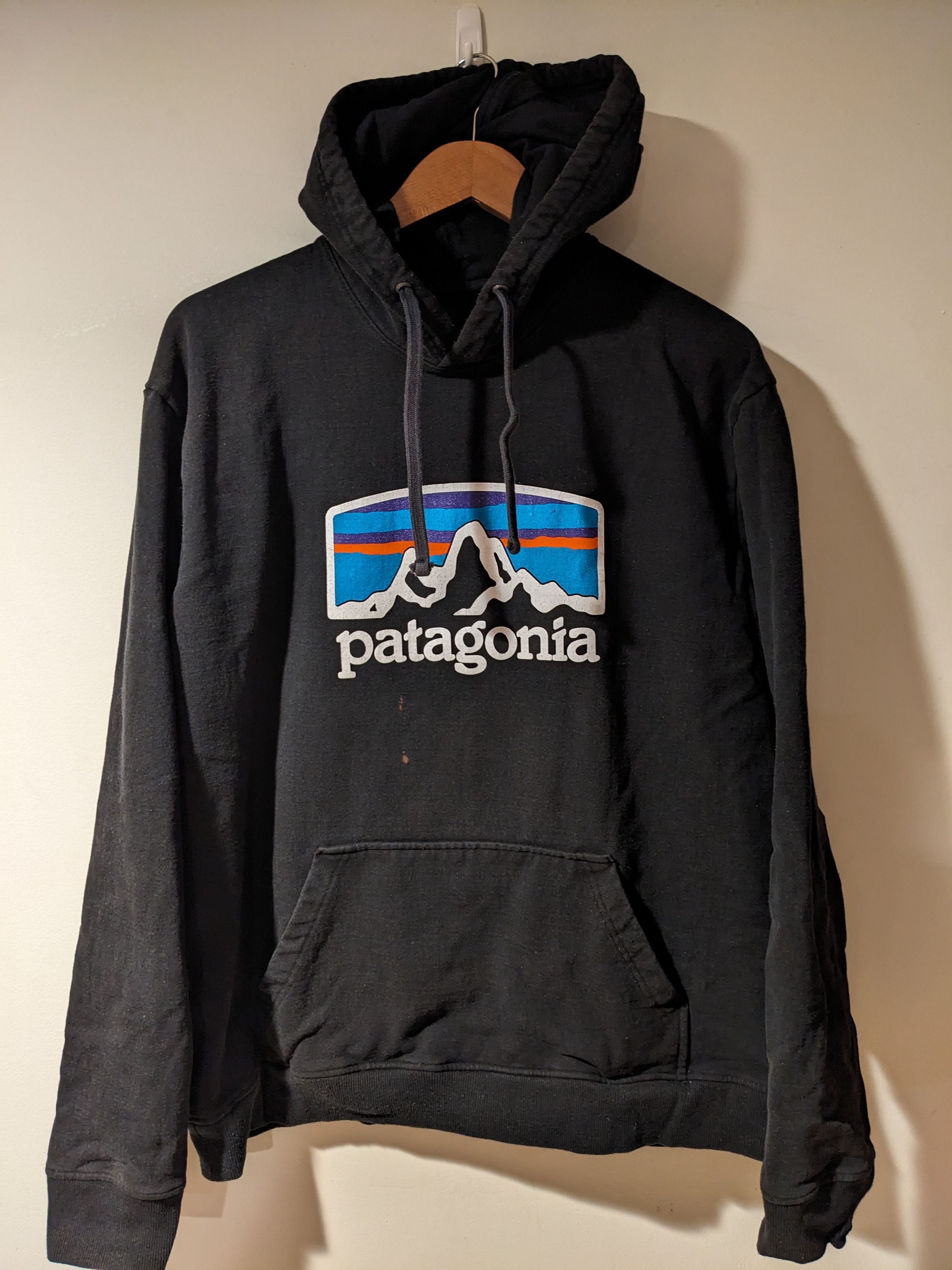 Hoodie patagonia online original