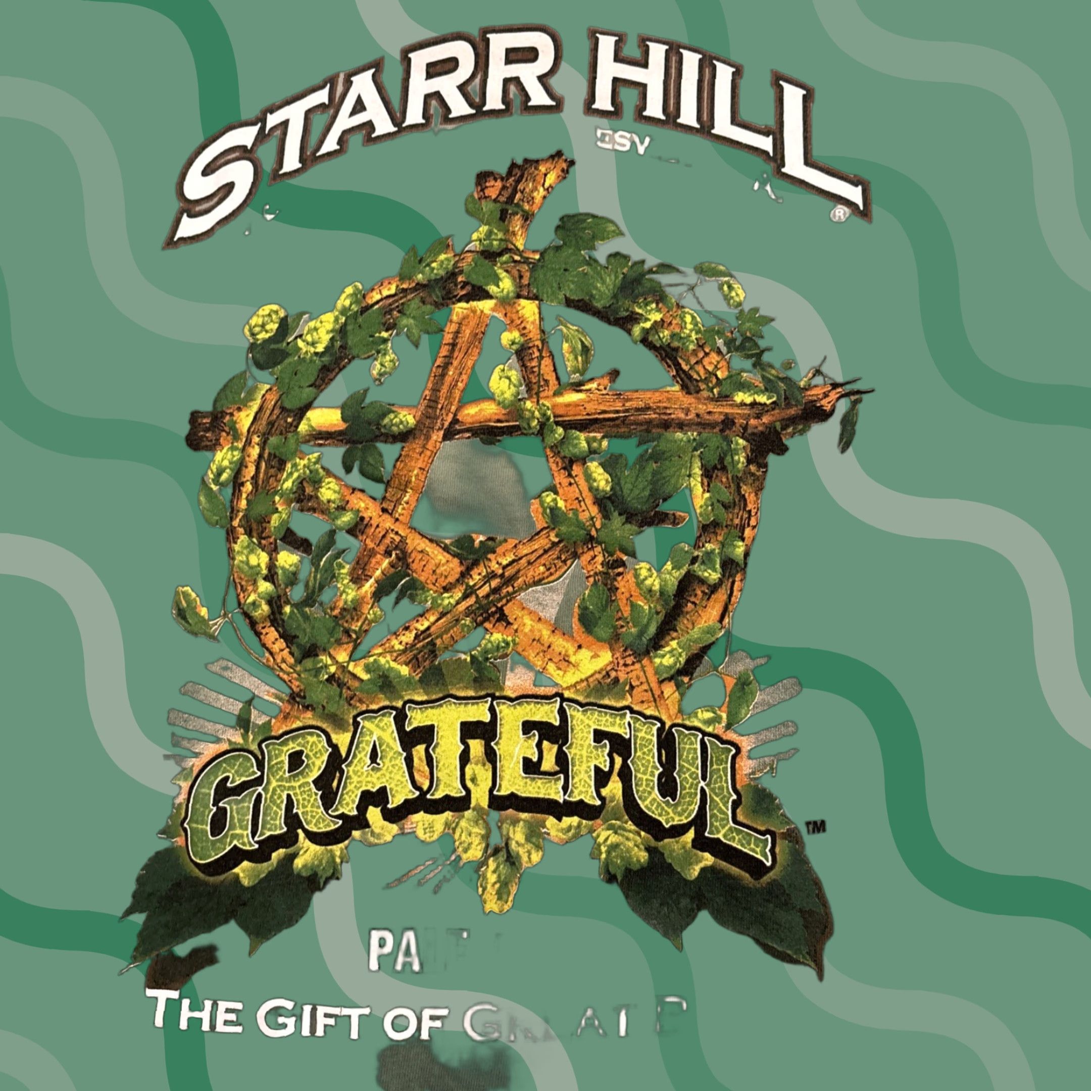Gildan Starr Hill Grateful Pale Ale T Shirt Charlottesville Virginia L Green Mens Size L Size US L / EU 52-54 / 3 - 1 Thumbnail