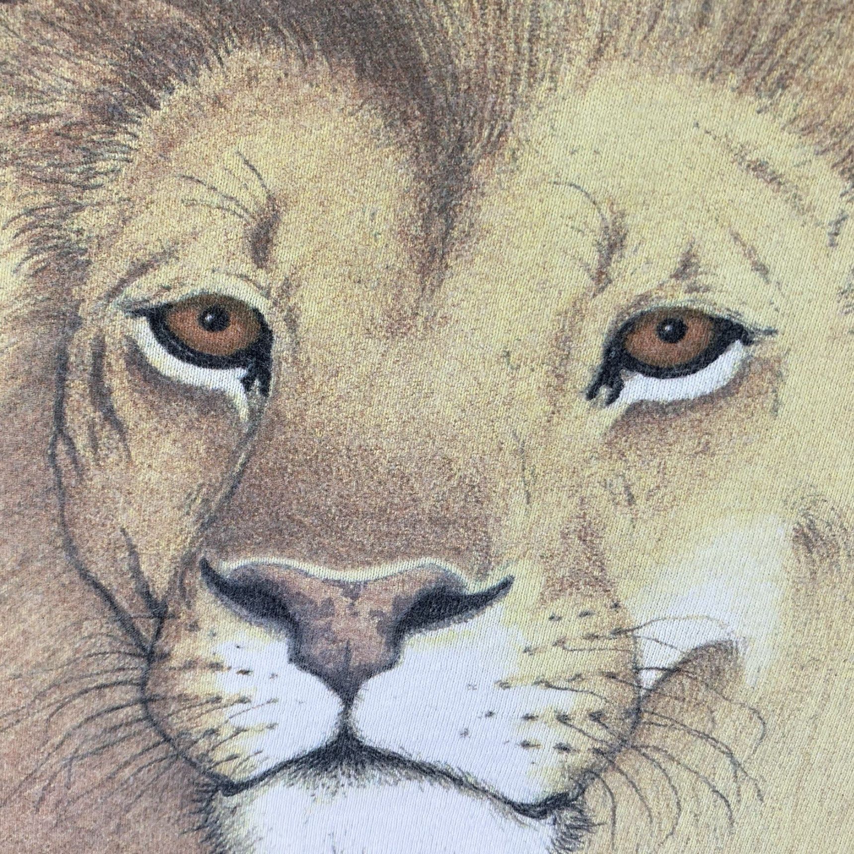 Anvil VINTAGE Lion Portrait Shirt Mens L White 90s Anvil HUMAN I TEE Single Stitch Crew Neck Short Sleeve Cotton Logo T-Shirt Size US L / EU 52-54 / 3 - 6 Thumbnail