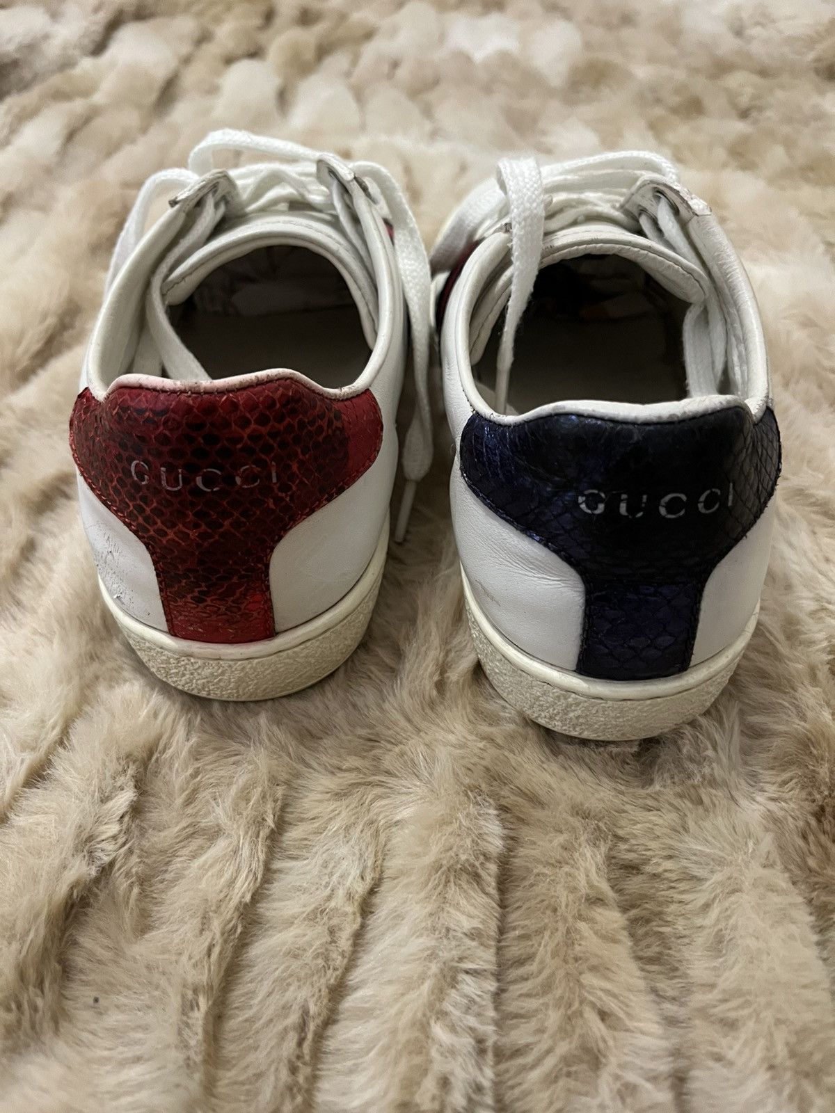 Gucci GUCCI Calfskin Web Studded Feline Ace Size US 6.5 / IT 36.5 - 5 Thumbnail