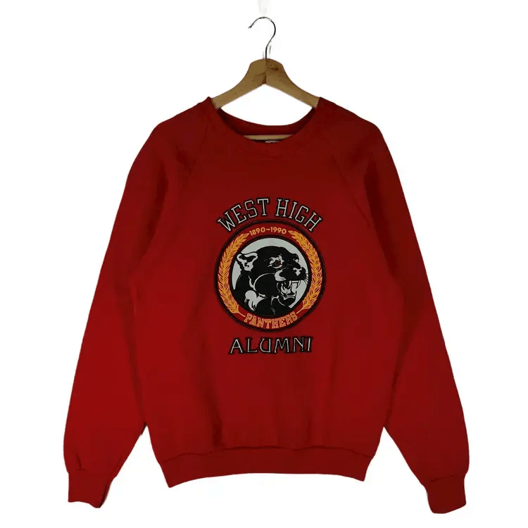 Fruit Of The Loom Vintage 90's Panthers Sweatshirts Size US L / EU 52-54 / 3 - 1 Thumbnail