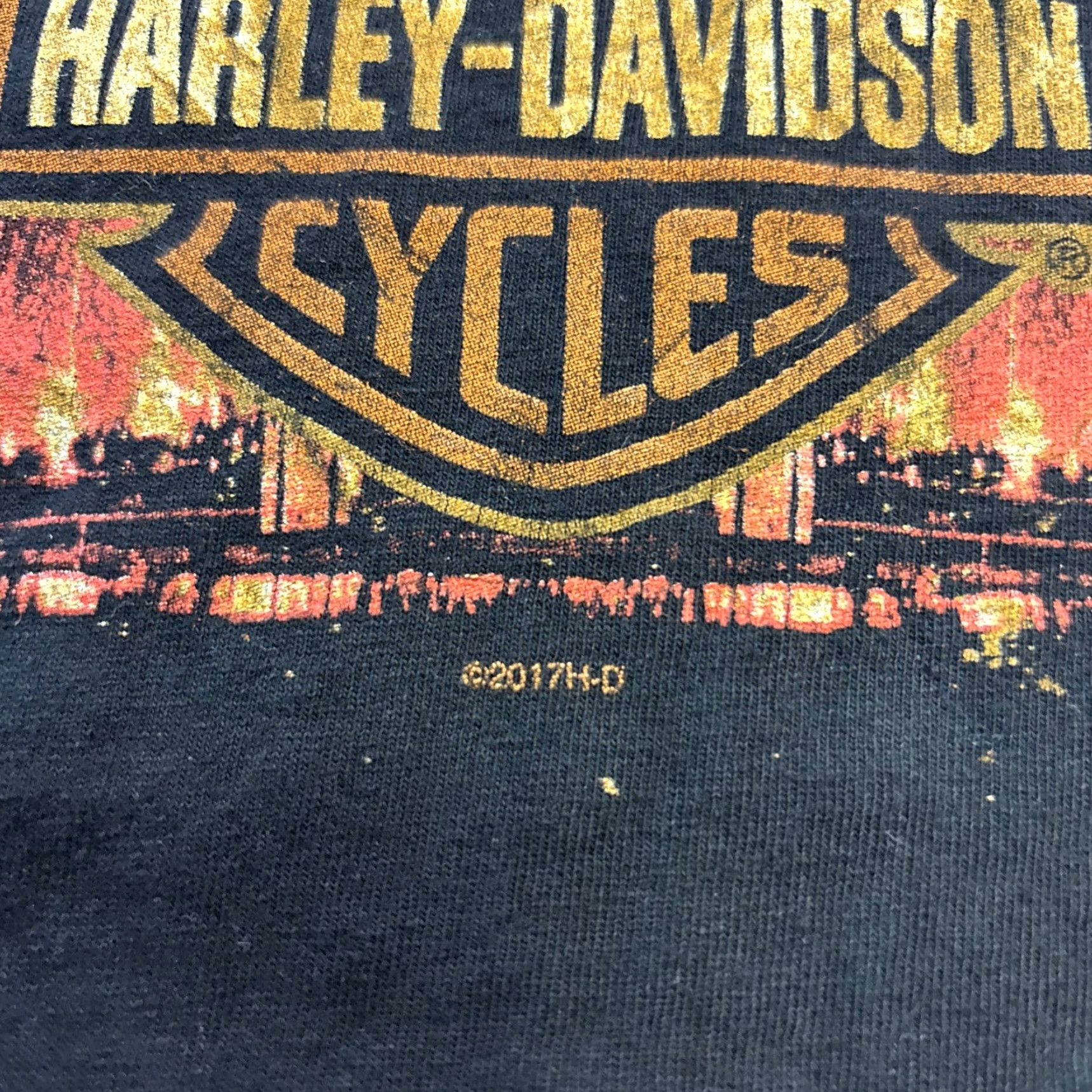 Harley Davidson Harley-Davidson Tank Top Pittsburgh Men’s Med Black Ride The Lightning 2017 T-Shirt Size US M / EU 48-50 / 2 - 3 Thumbnail