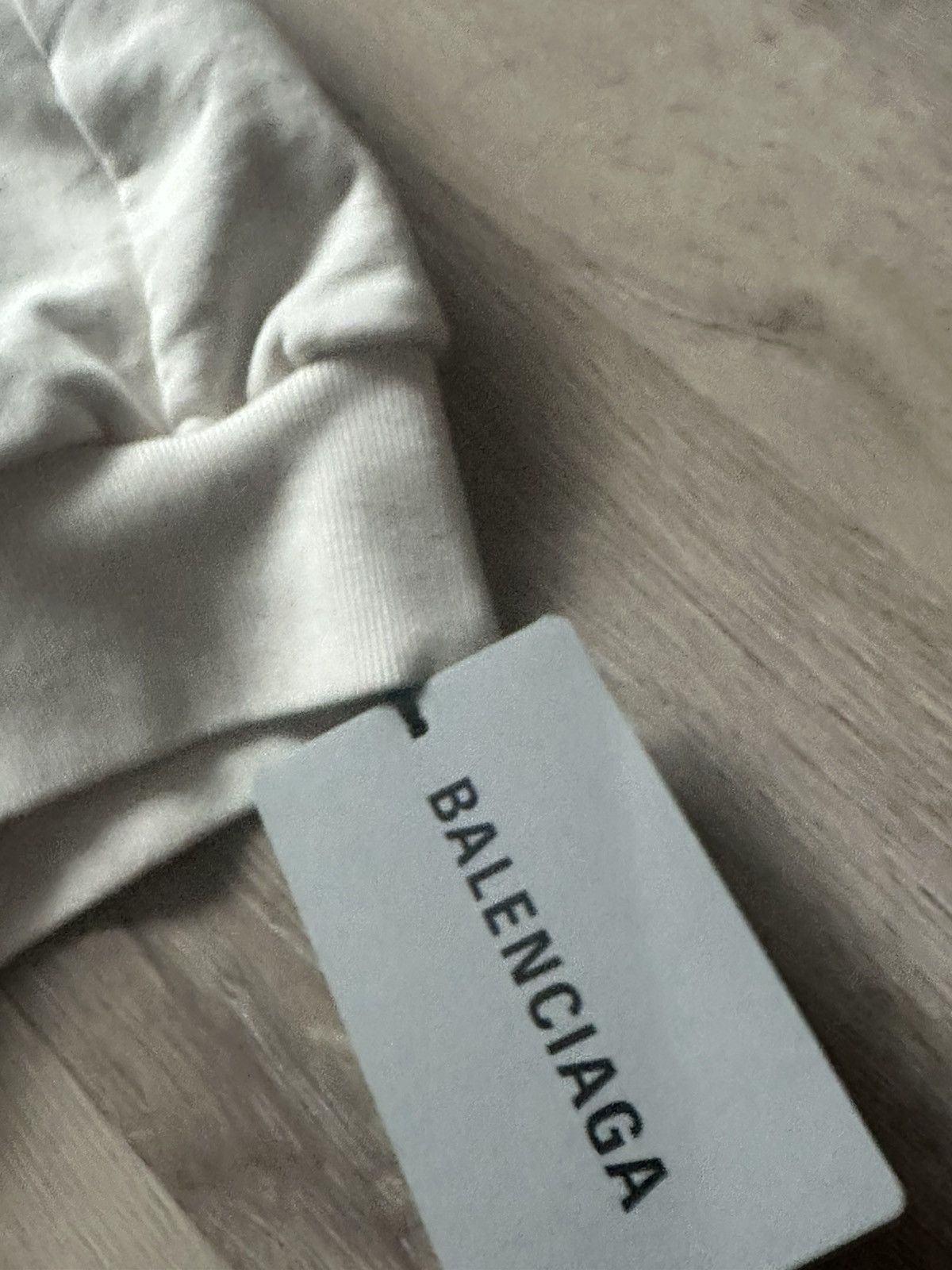Balenciaga BNWT BALENCIAGA EREWHON HOODIE Size US S / EU 44-46 / 1 - 3 Thumbnail