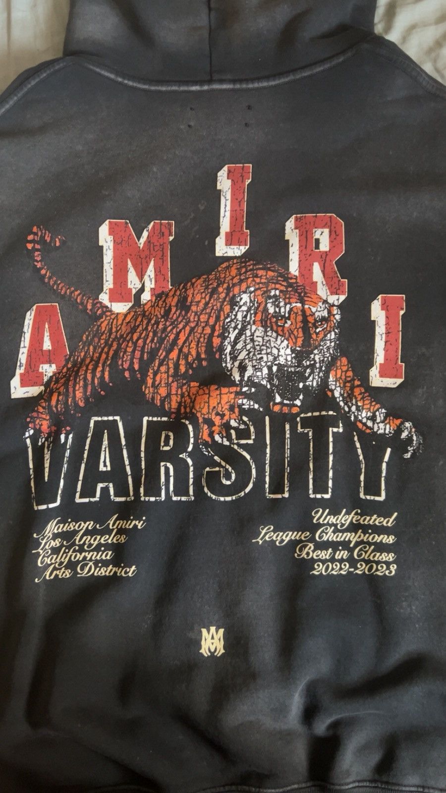 Amiri Amiri Vintage Tiger Varsity Hoodie Size US XL / EU 56 / 4 - 4 Thumbnail