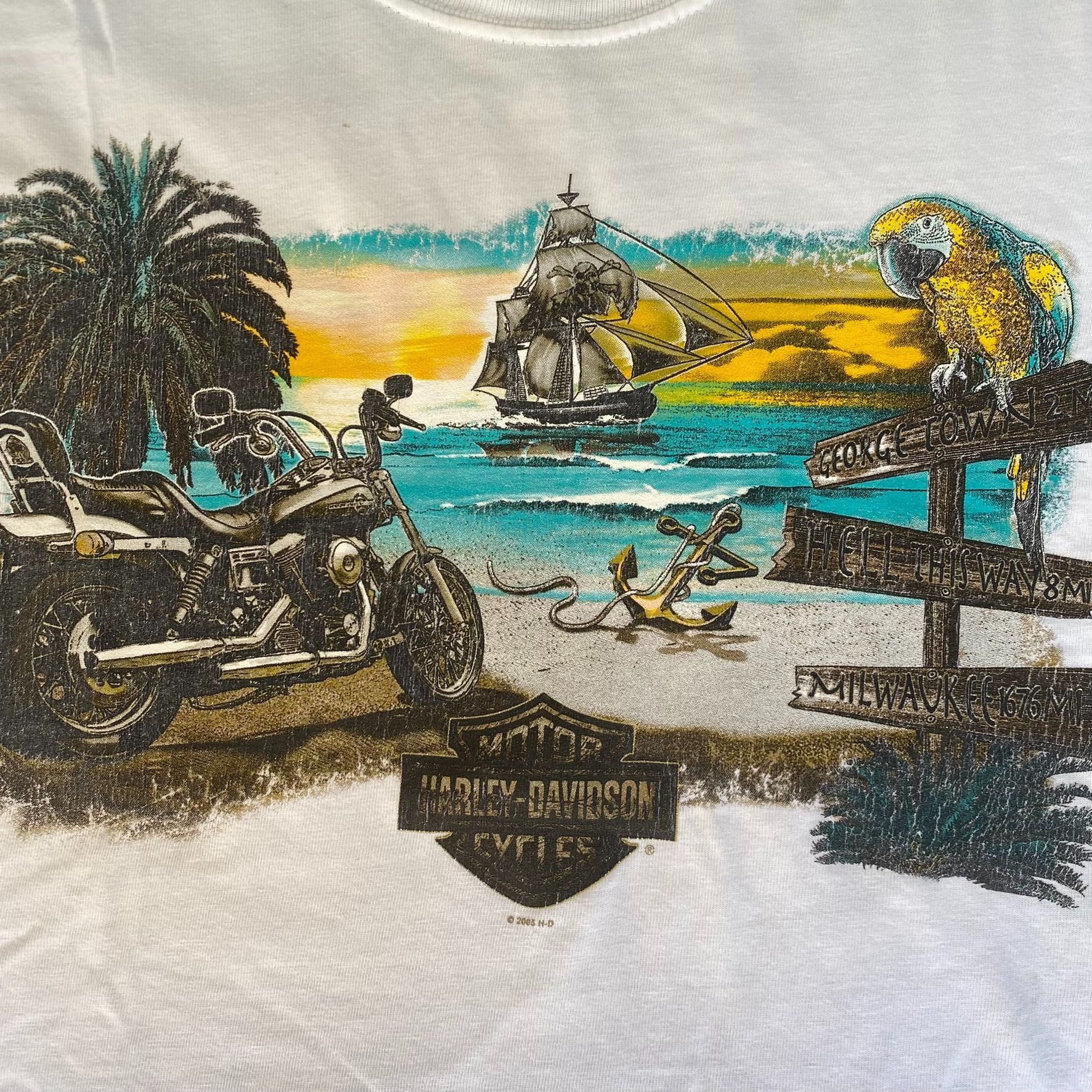 Harley Davidson Vintage Y2K Harley Davidson Shirt Pirate Punk Biker Tee Size US L / EU 52-54 / 3 - 3 Thumbnail