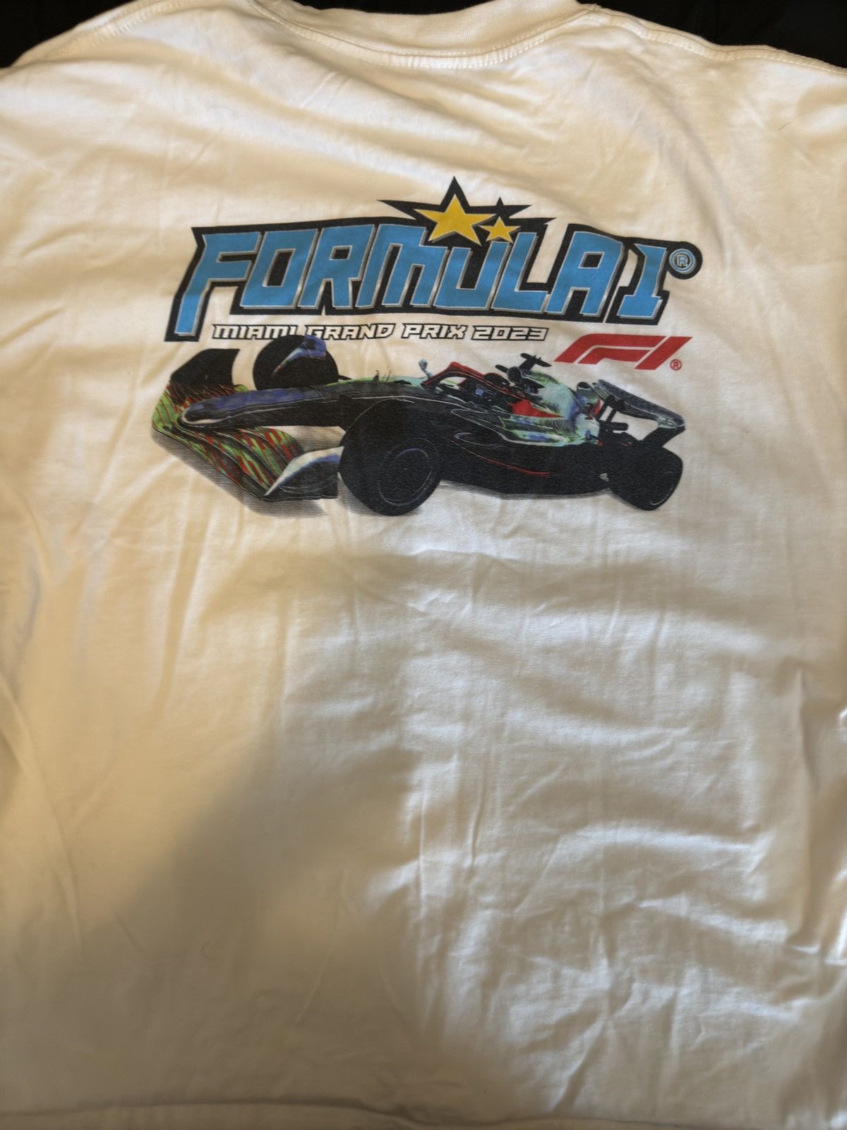 Pacsun F1 x PacSun Collab Size US XL / EU 56 / 4 - 3 Thumbnail