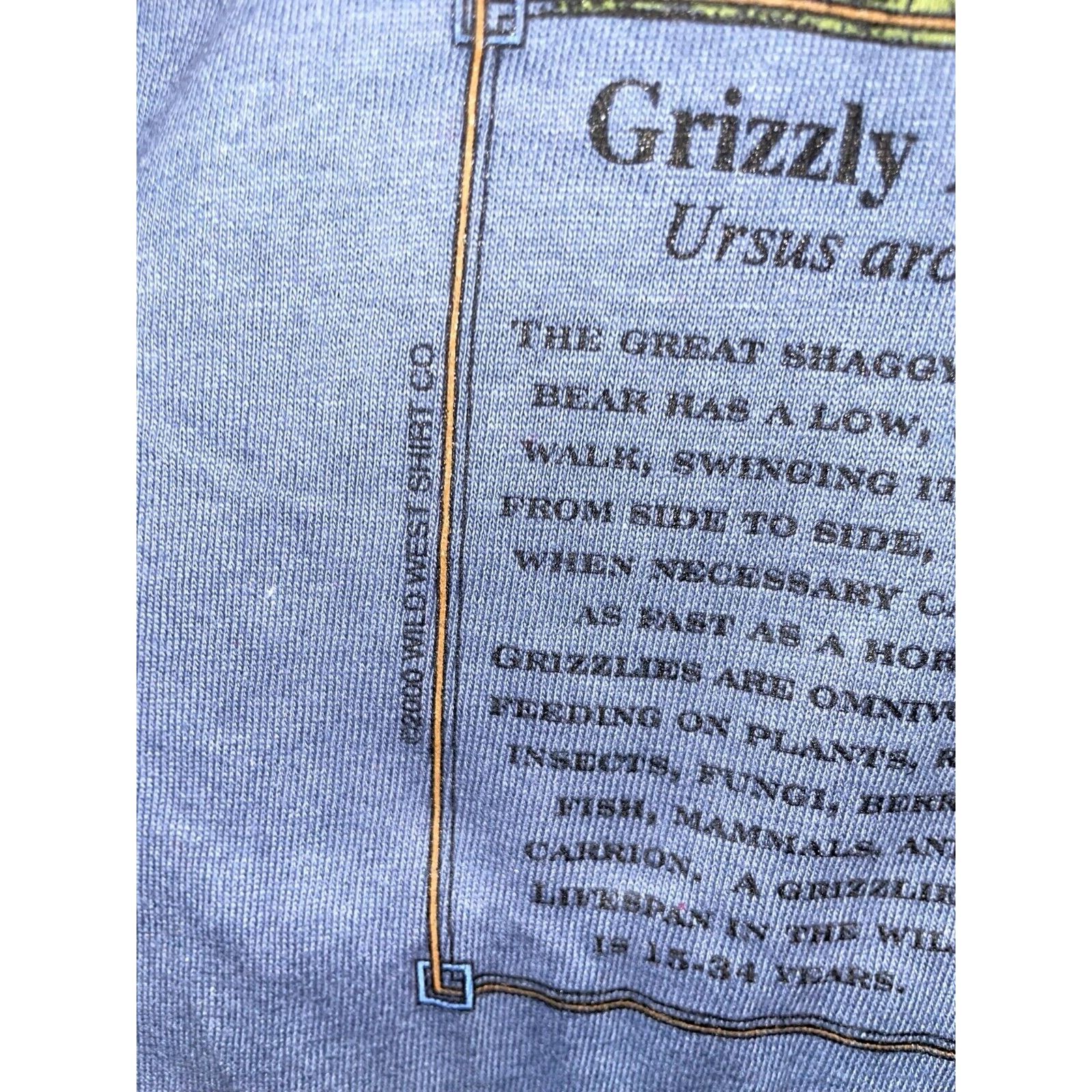 Anvil Vintage Gatlinburg Shirt The Great Outdoors Grizzly Bear Tee Size US M / EU 48-50 / 2 - 7 Thumbnail