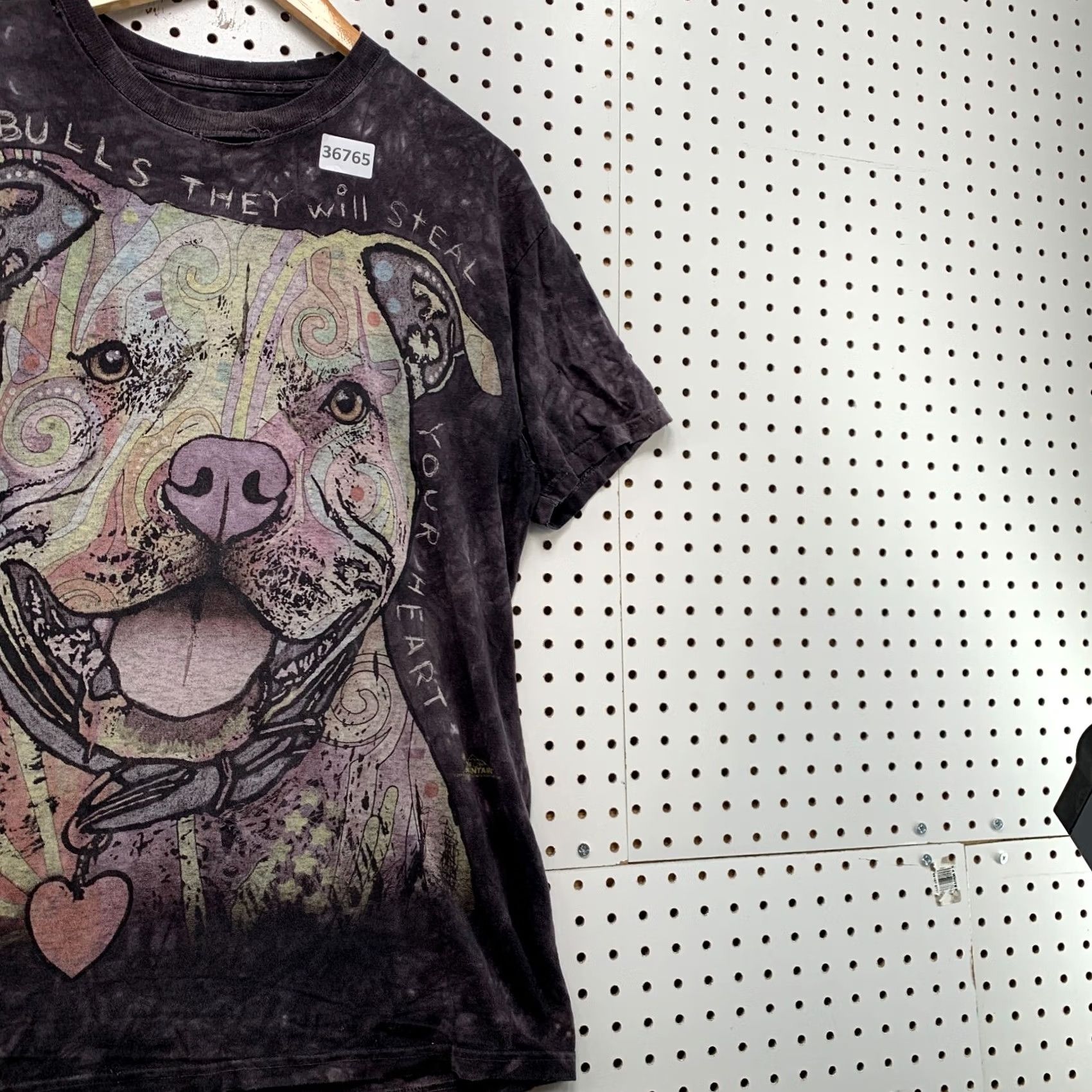 The Mountain VINTAGE The Mountain Pitbull Shirt Mens M Gray Grunge 20x29 Acid Wash Distressed Holes Shirt Mens Size US M / EU 48-50 / 2 - 4 Thumbnail
