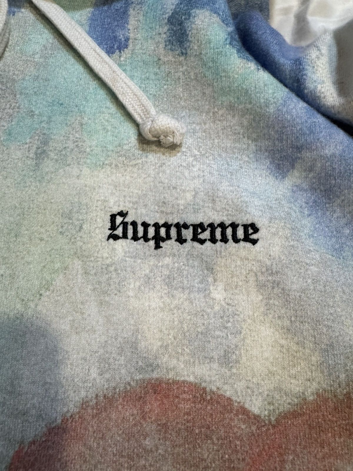 Supreme Supreme Landscape Hoodie Size US L / EU 52-54 / 3 - 3 Thumbnail
