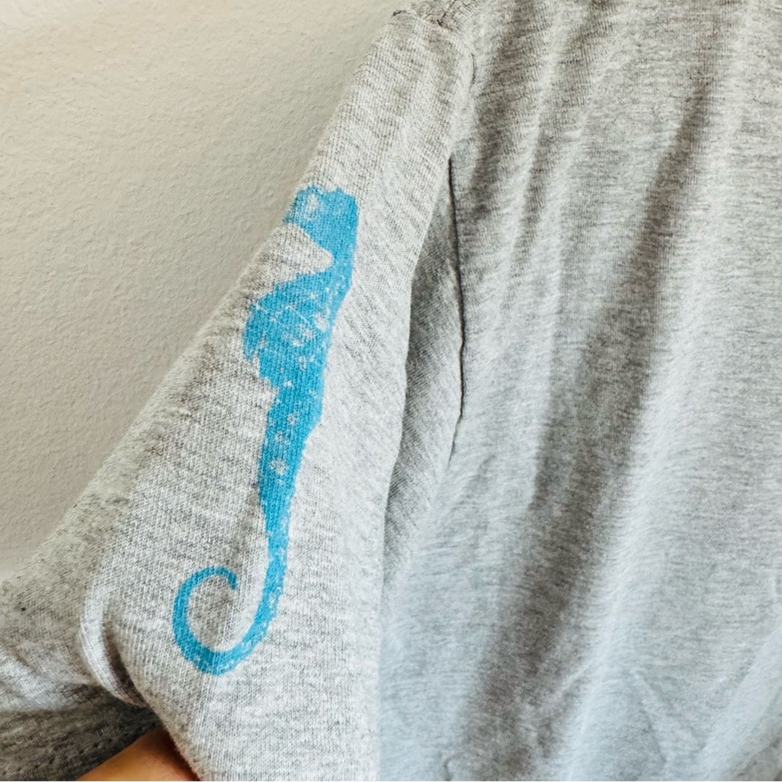 Hanes ENCINITAS Heather Grey Aqua Blue Logo Retro Tee Shirt Top M Size US M / EU 48-50 / 2 - 3 Thumbnail