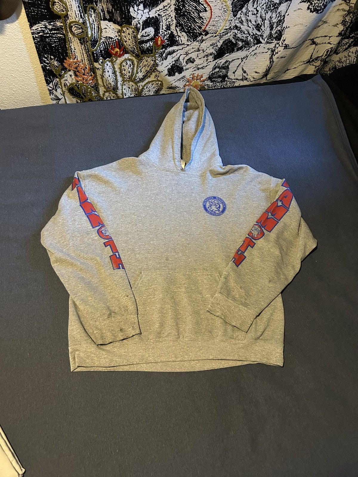 Other Mammoth Mountain Hoodie - L Size US L / EU 52-54 / 3 - 1 Thumbnail