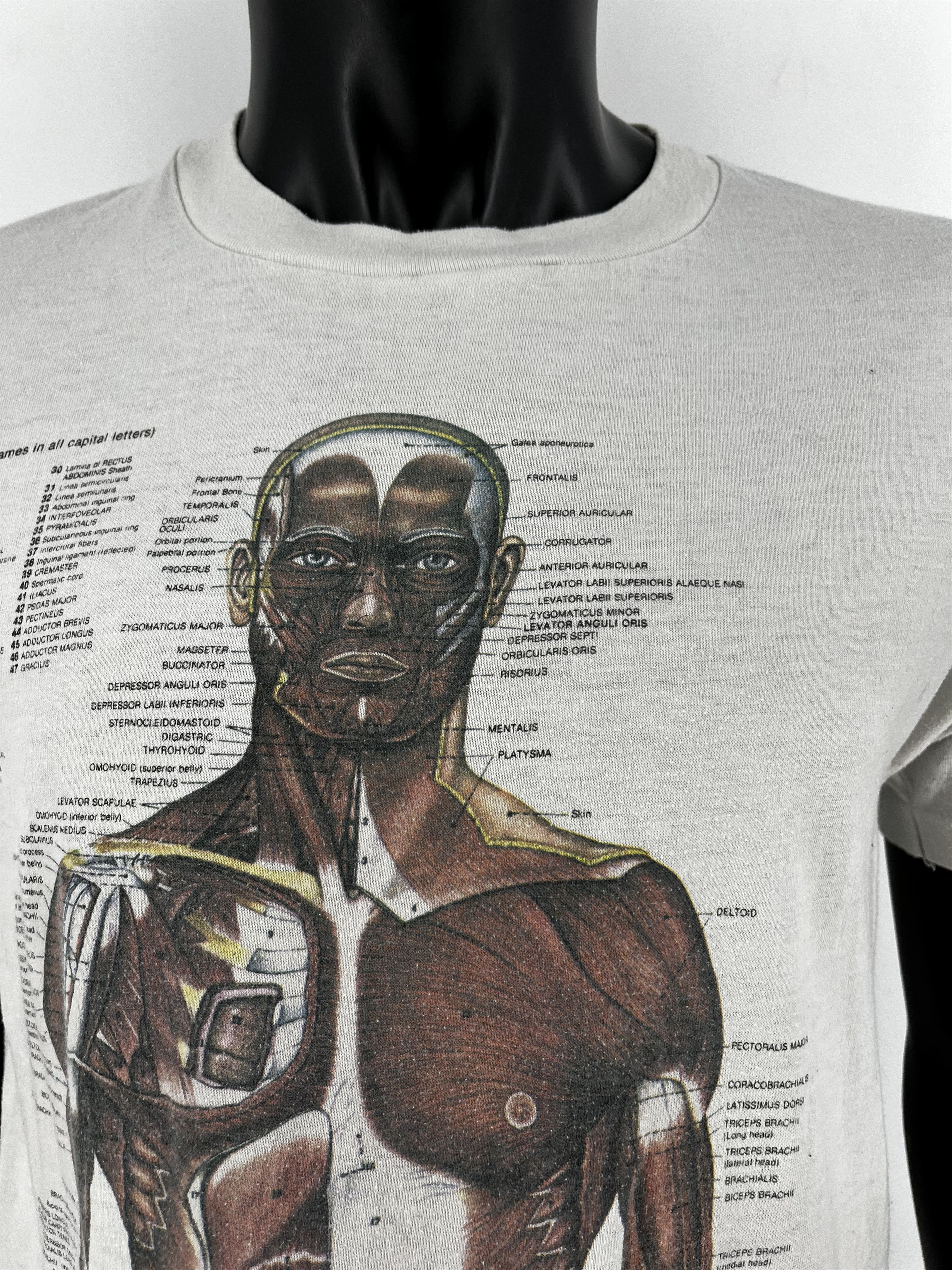 Nirvana Anatomy Muscle Shirt Same Print as Kurt Cobain Rare Medical Size US L / EU 52-54 / 3 - 9 Thumbnail
