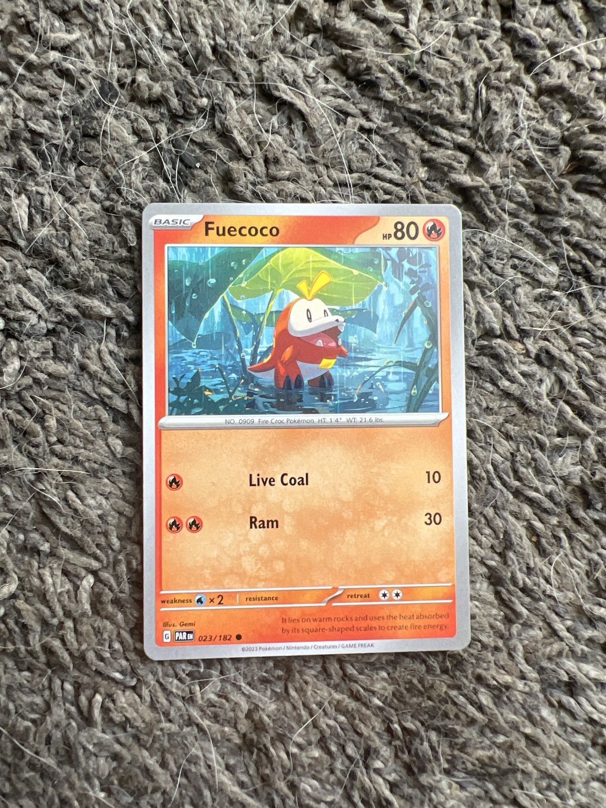 Pokemon 2023 Pokémon Fuecoco Basic Card Size ONE SIZE - 1 Thumbnail