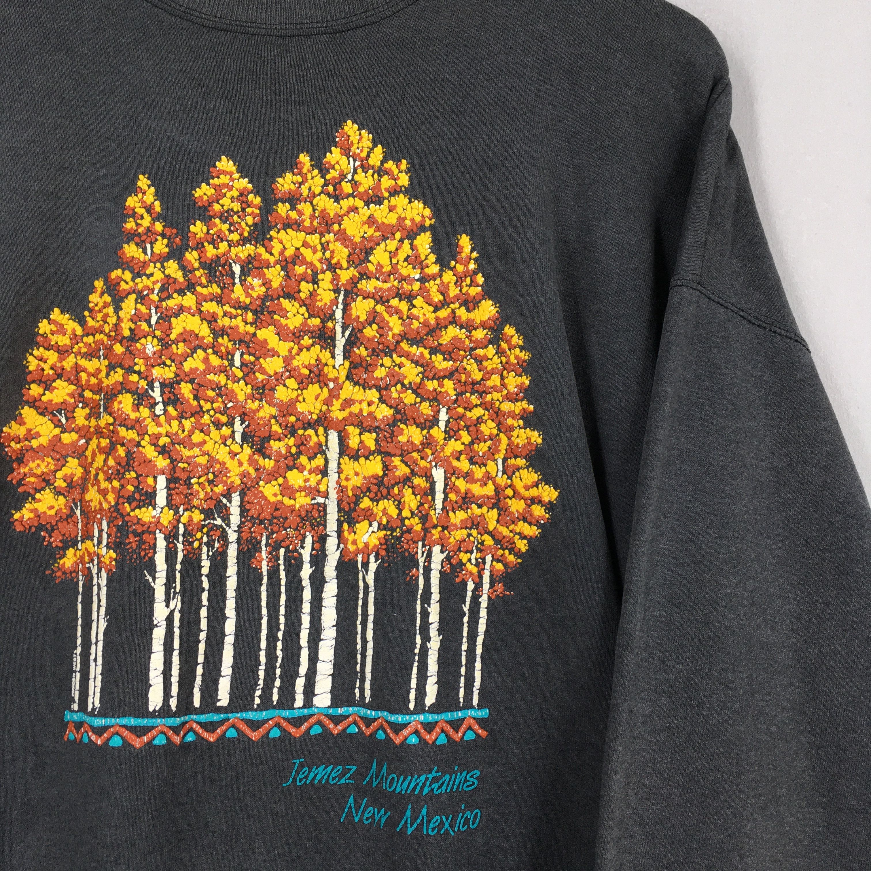 Hanes × Vintage Vintage New Mexico Sweatshirt XLarge Size US XL / EU 56 / 4 - 2 Thumbnail