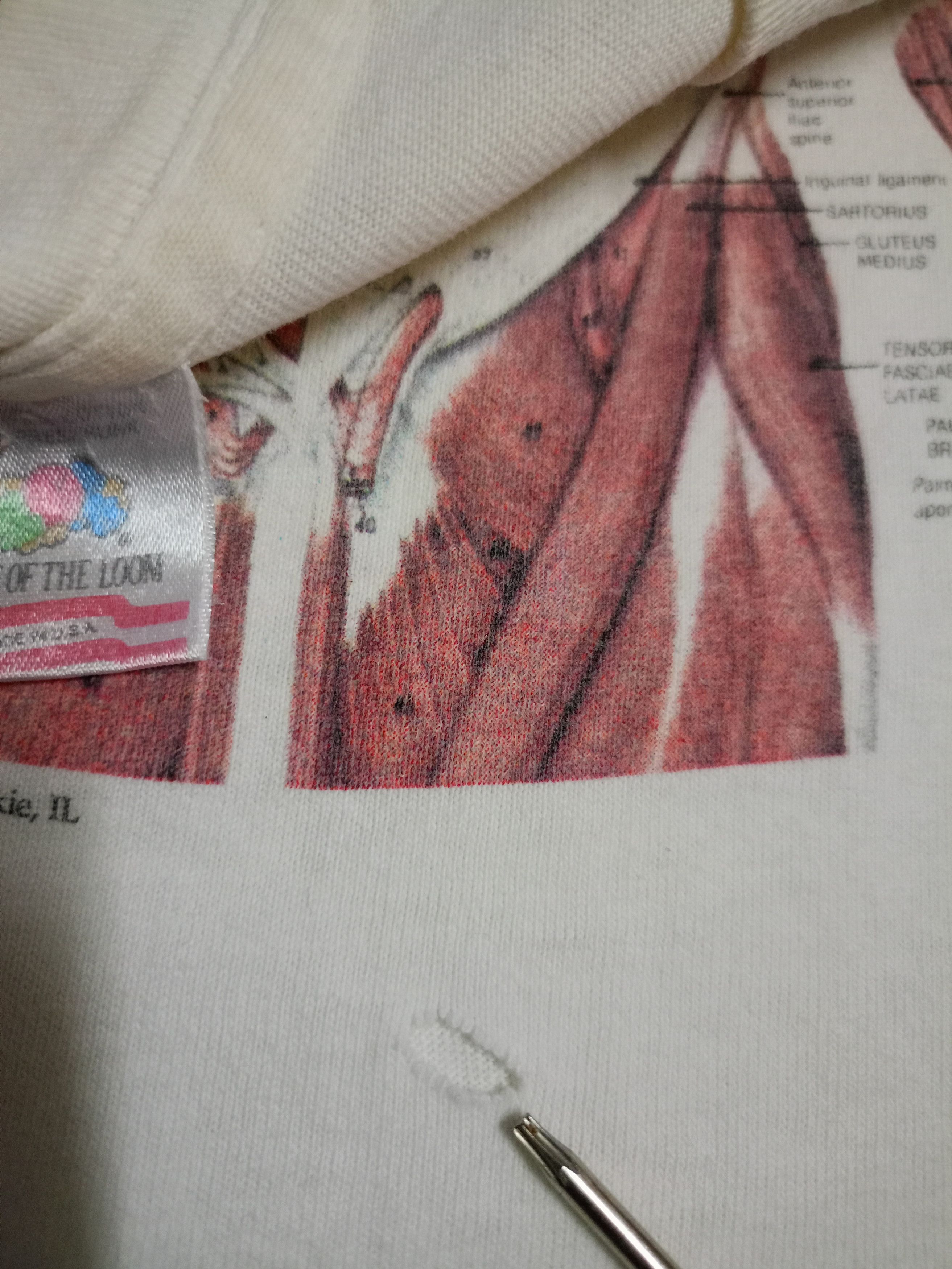 Vintage Vintage rare anatomy Kurt Cobain t shirt Size US L / EU 52-54 / 3 - 4 Thumbnail