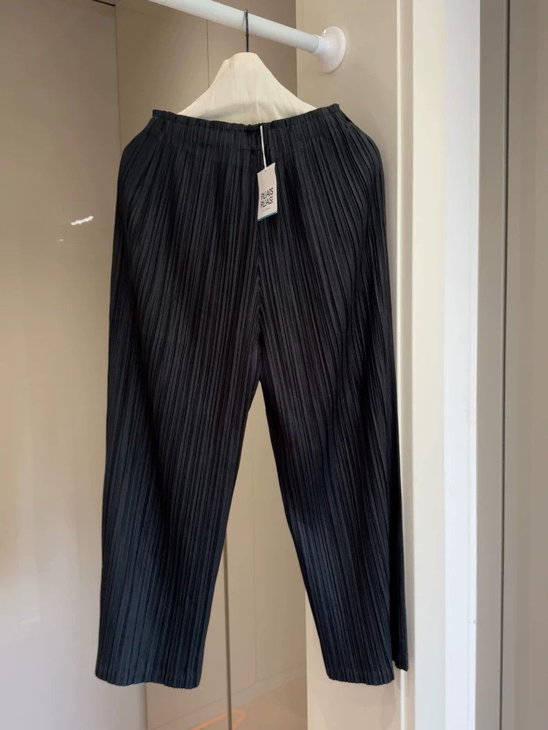 Issey Miyake Issey Miyake PP Pleats Classic Pants - dmc Size US 30 / EU 46 - 1 Thumbnail