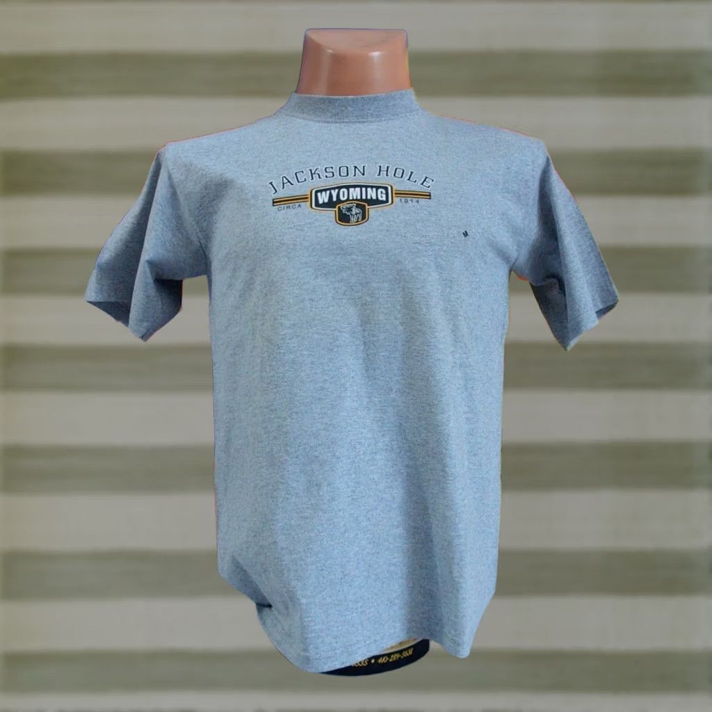 Anvil JACKSON HOLE Wyoming MOUNTAIN RESORT Gros Ventre Teton VTG Shirt Men's Medium Size US M / EU 48-50 / 2 - 1 Thumbnail