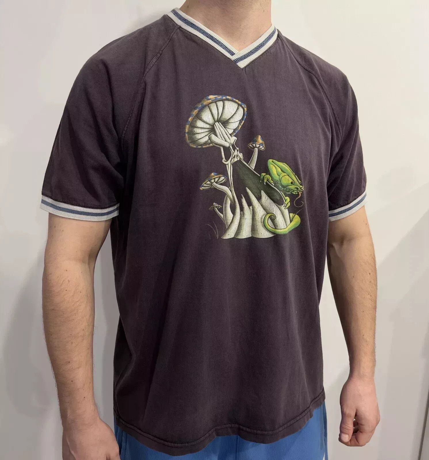 Vintage VINTAGE 2000s Y2K SHROOMS HEARTLAND SHIRT FADED SKATEBOARD Size US M / EU 48-50 / 2 - 2 Thumbnail