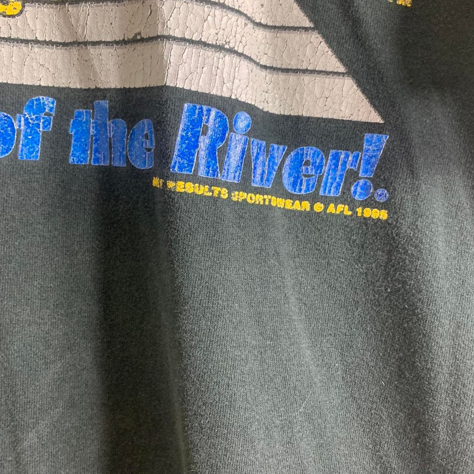 Fruit Of The Loom 1995 MEMPHIS PHARAOHS FOOTBALL single stitch tee shirt XL Size US XL / EU 56 / 4 - 4 Thumbnail
