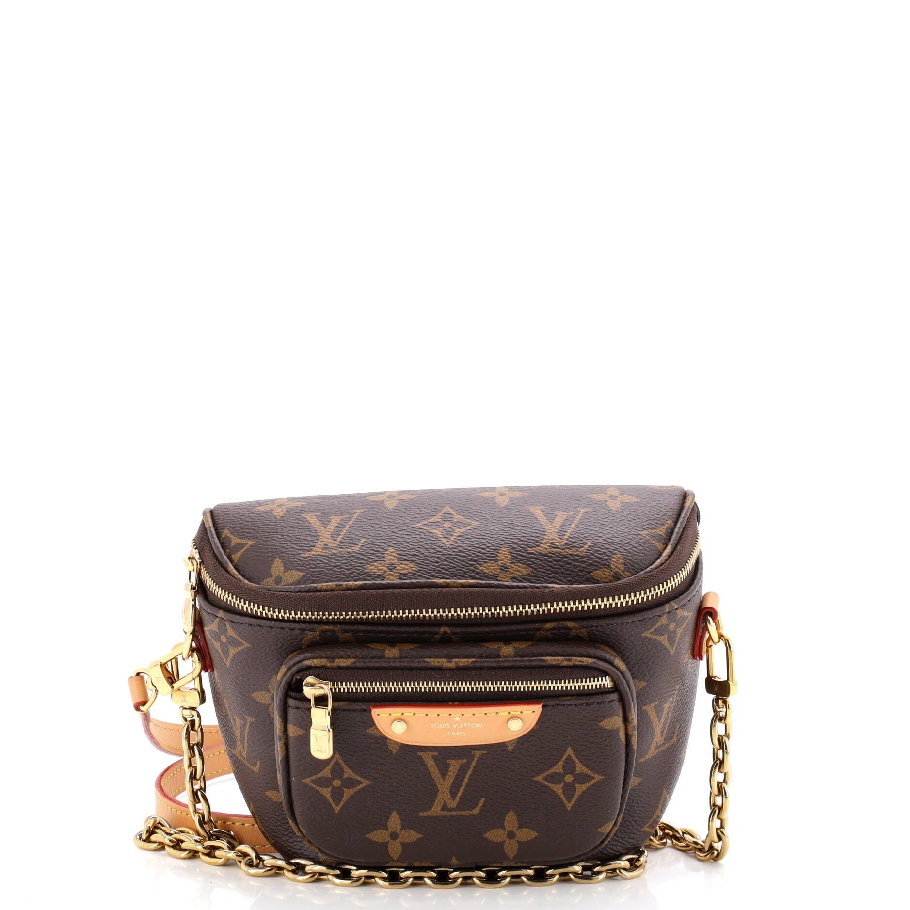 Louis Vuitton Bum Bag Size ONE SIZE - 1 Thumbnail
