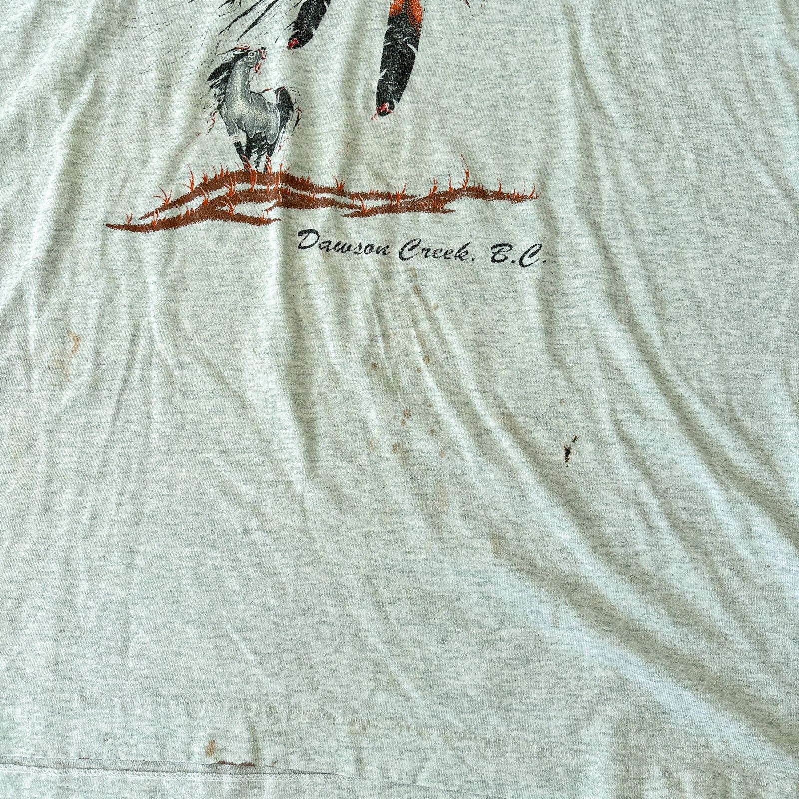 Fruit Of The Loom × Vintage Vtg Fruit of the Loom Dawson Creek BC Native American Shirt Size US XXL / EU 58 / 5 - 5 Thumbnail