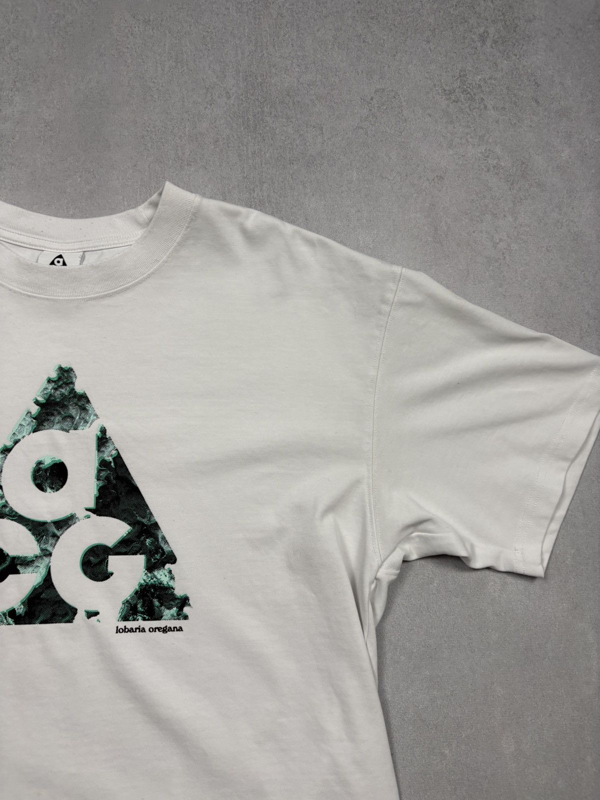 Nike ACG Nike ACG Big Logo Liking Liches Graphic T-Shirt White Medium Size US M / EU 48-50 / 2 - 2 Thumbnail