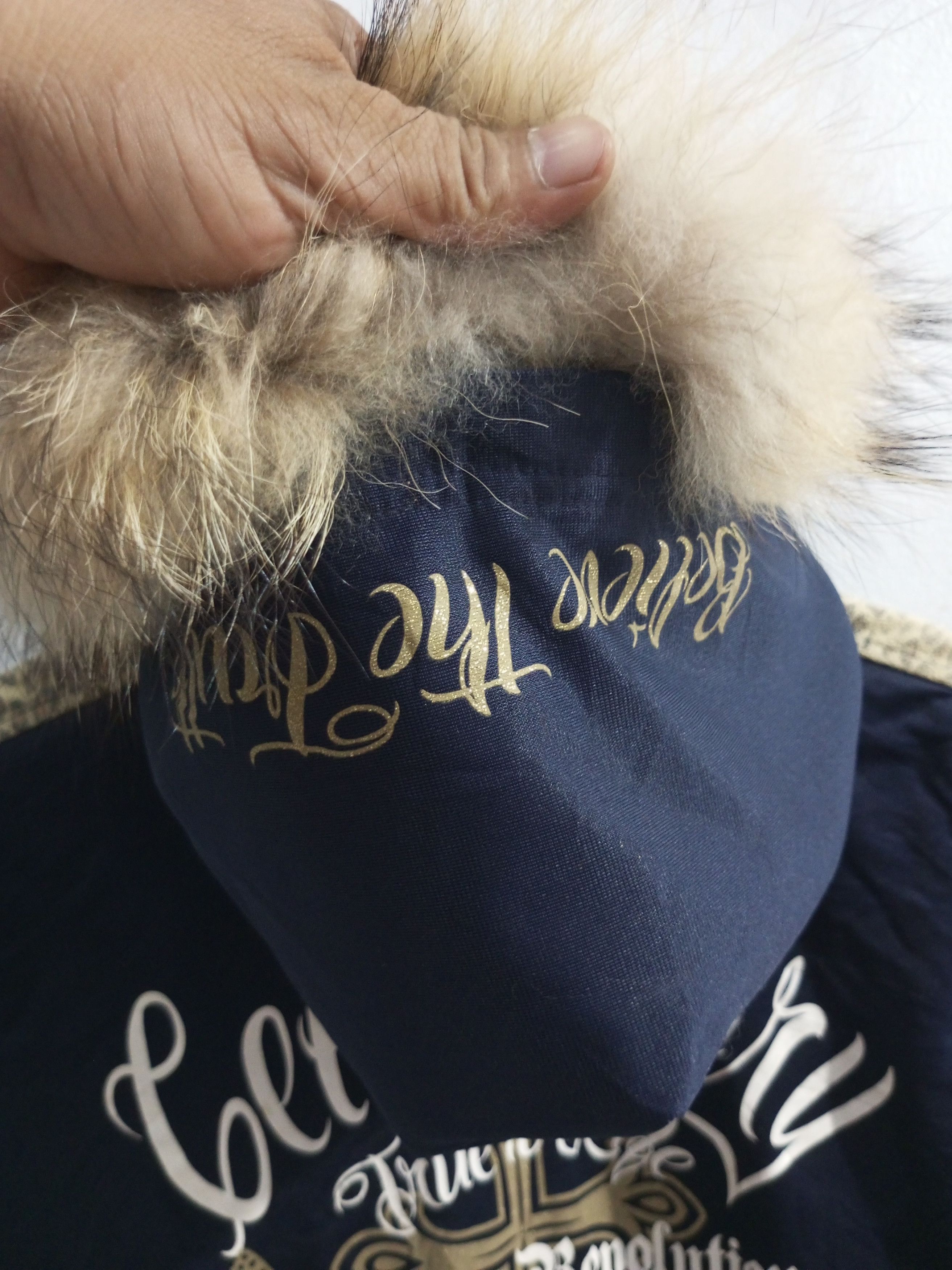 If Six Was Nine × Japanese Brand × Le Grande Bleu (L.G.B.) Vintage capalanca poem cross leopard fur hoodie Size US M / EU 48-50 / 2 - 5 Thumbnail