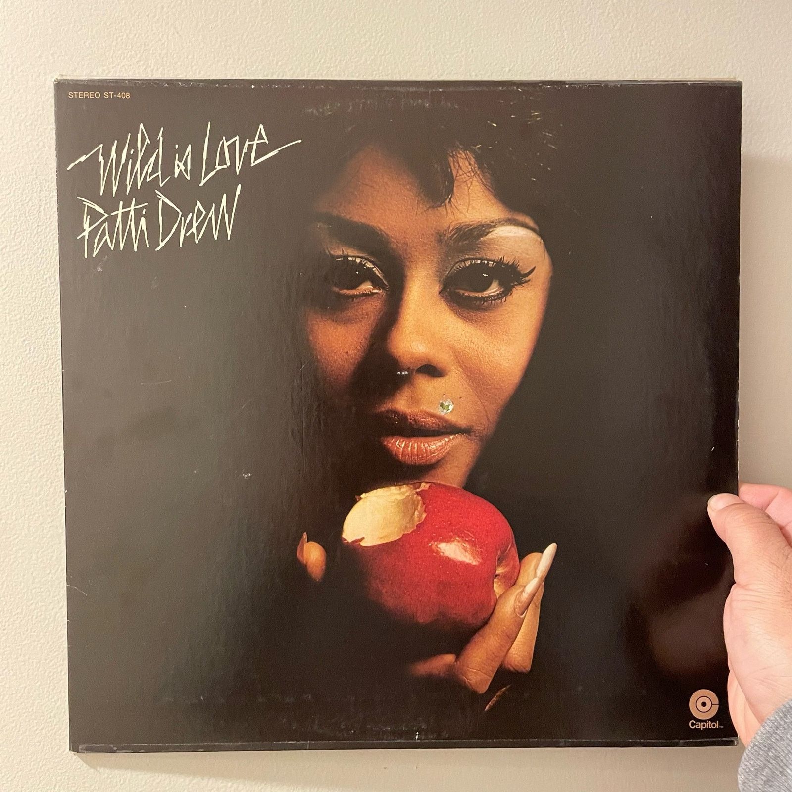 INTENTIONALLY BLANK Patti Drew - Wild Is Love LP vintage vinyl record soul funk Size ONE SIZE - 1 Thumbnail