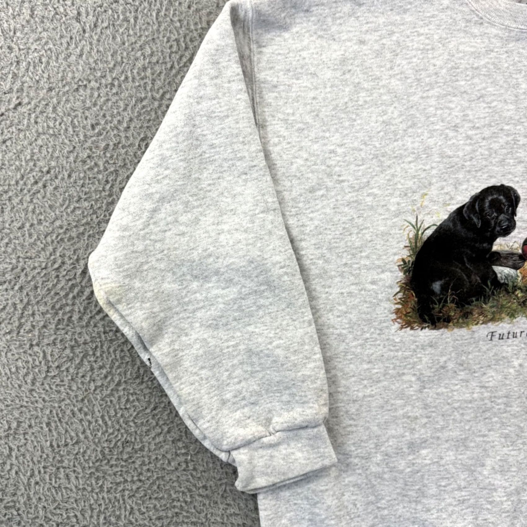 Vintage VINTAGE Enviromental Artwear Sweatshirt Mens Large Blue Dog Nature Pullover Graphic Print Crew Neck Long Sleeve 90s Size US M / EU 48-50 / 2 - 4 Thumbnail