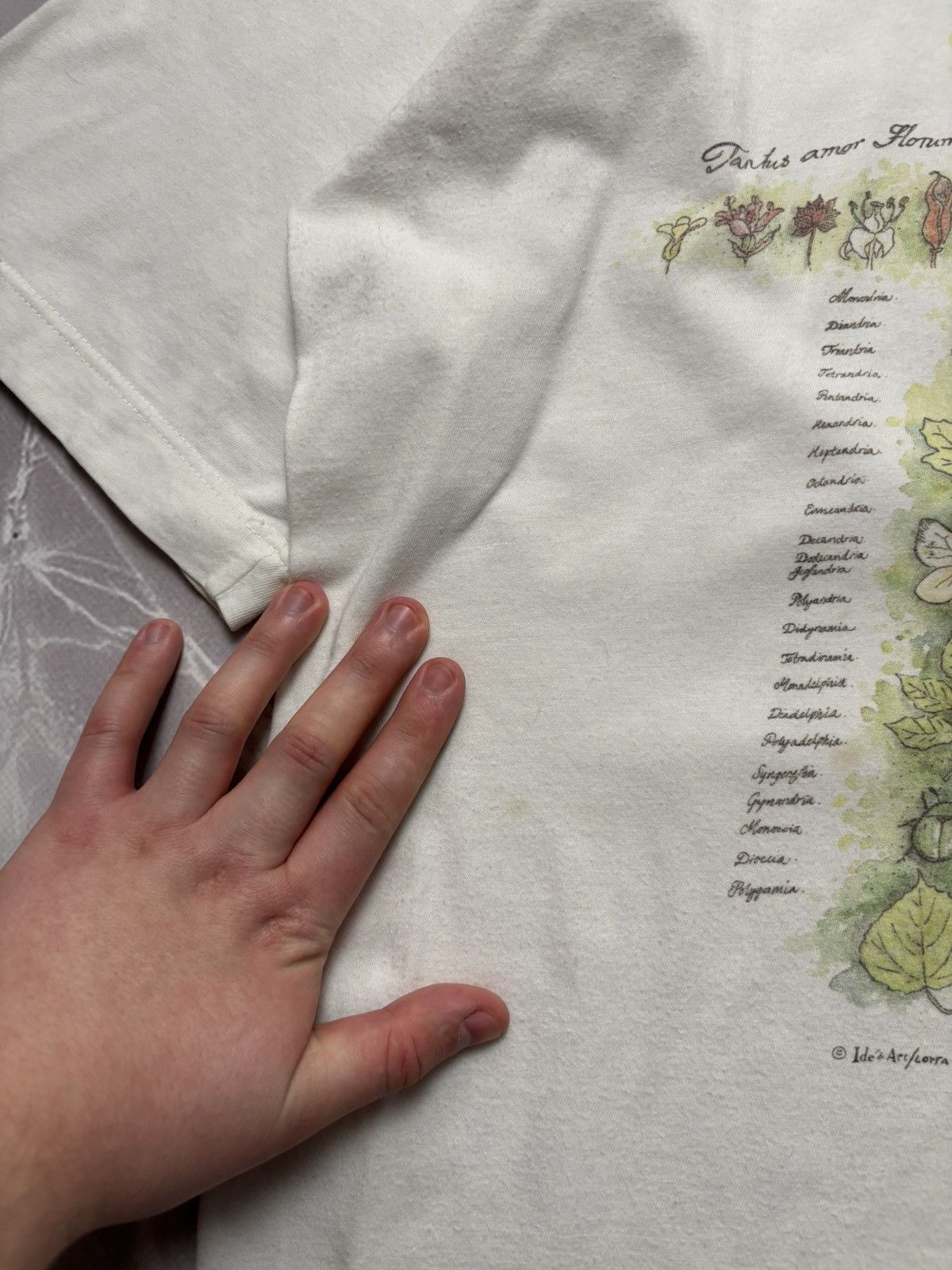 Vintage Rare VTG Linnaeus Methodus Plantarum Tee Lotta Dale Science Size US L / EU 52-54 / 3 - 9 Thumbnail