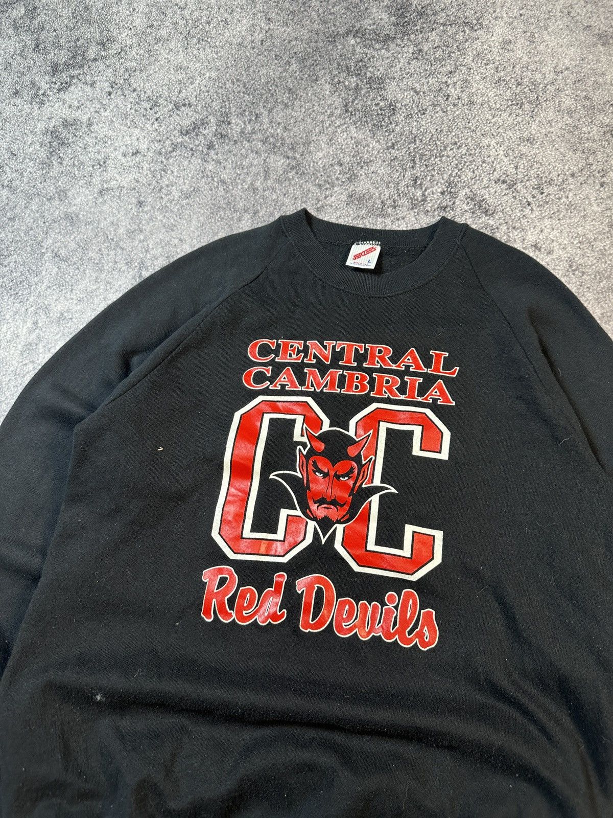 Jerzees Vintage Central Cambria Red Devils Big Logo Back Rare USA L Size US L / EU 52-54 / 3 - 2 Thumbnail