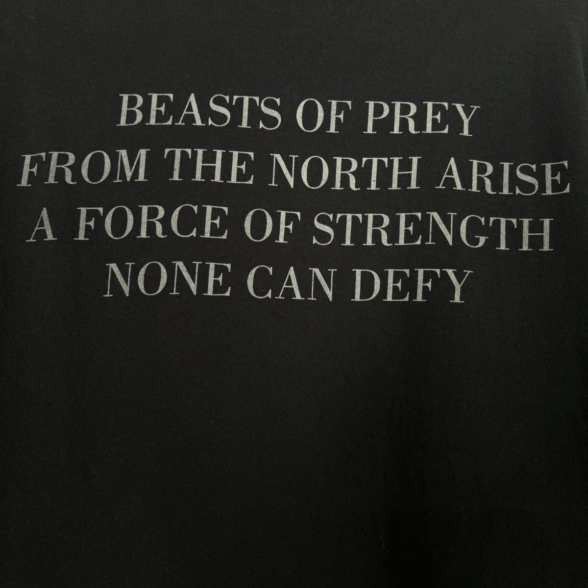 Band Tees Vintage Immortal ‘Beasts of Prey’ Artworx Euro Metal T Shirt Size US XXL / EU 58 / 5 - 5 Thumbnail