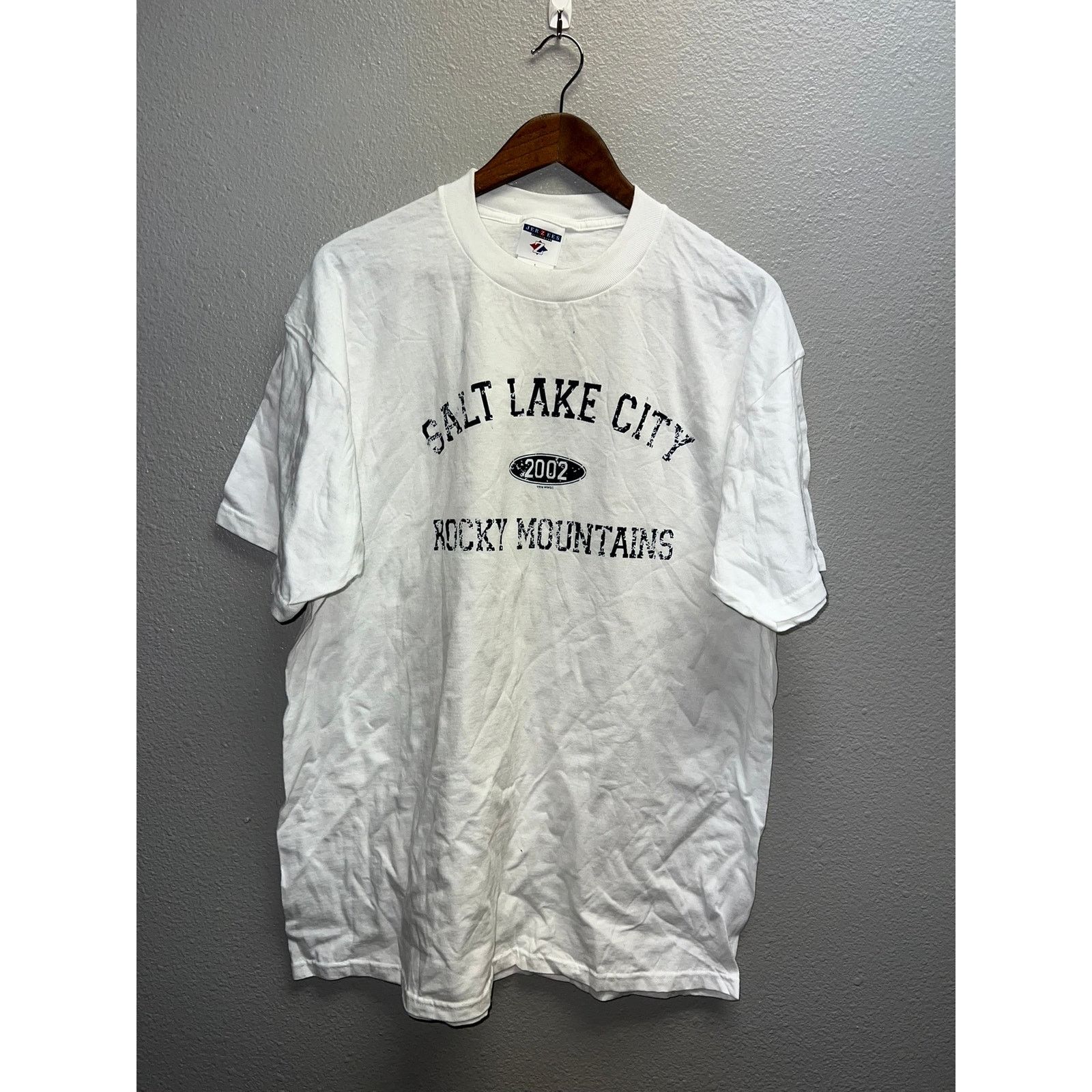 Jerzees Vintage Salt Lake City Shirt Rocky Mountains Tee 2002 Large Size US L / EU 52-54 / 3 - 1 Thumbnail