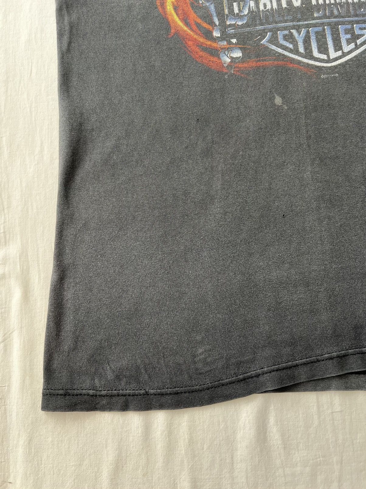 Harley Davidson Vintage 2001 Harley Davidson Fire Horse Flame Daytona Tshirt Size US M / EU 48-50 / 2 - 8 Thumbnail
