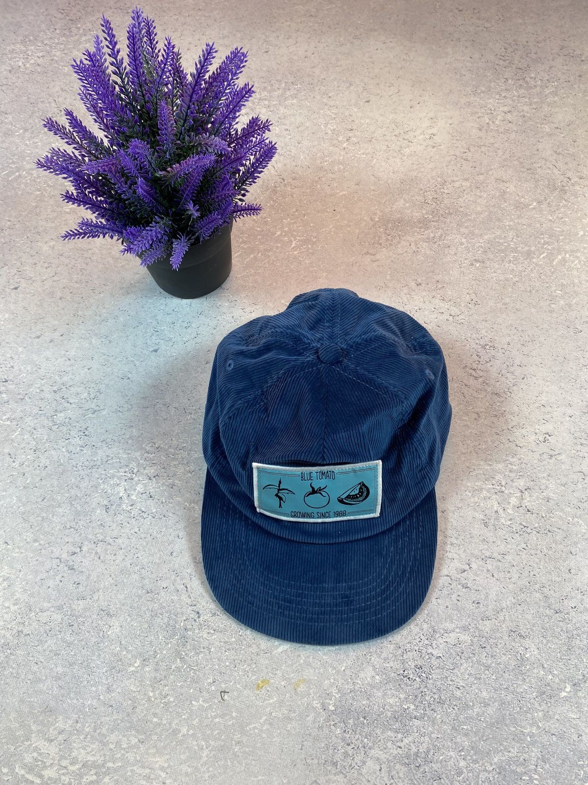 Other Blue Tomato Skate Merch Cap Size ONE SIZE - 1 Thumbnail