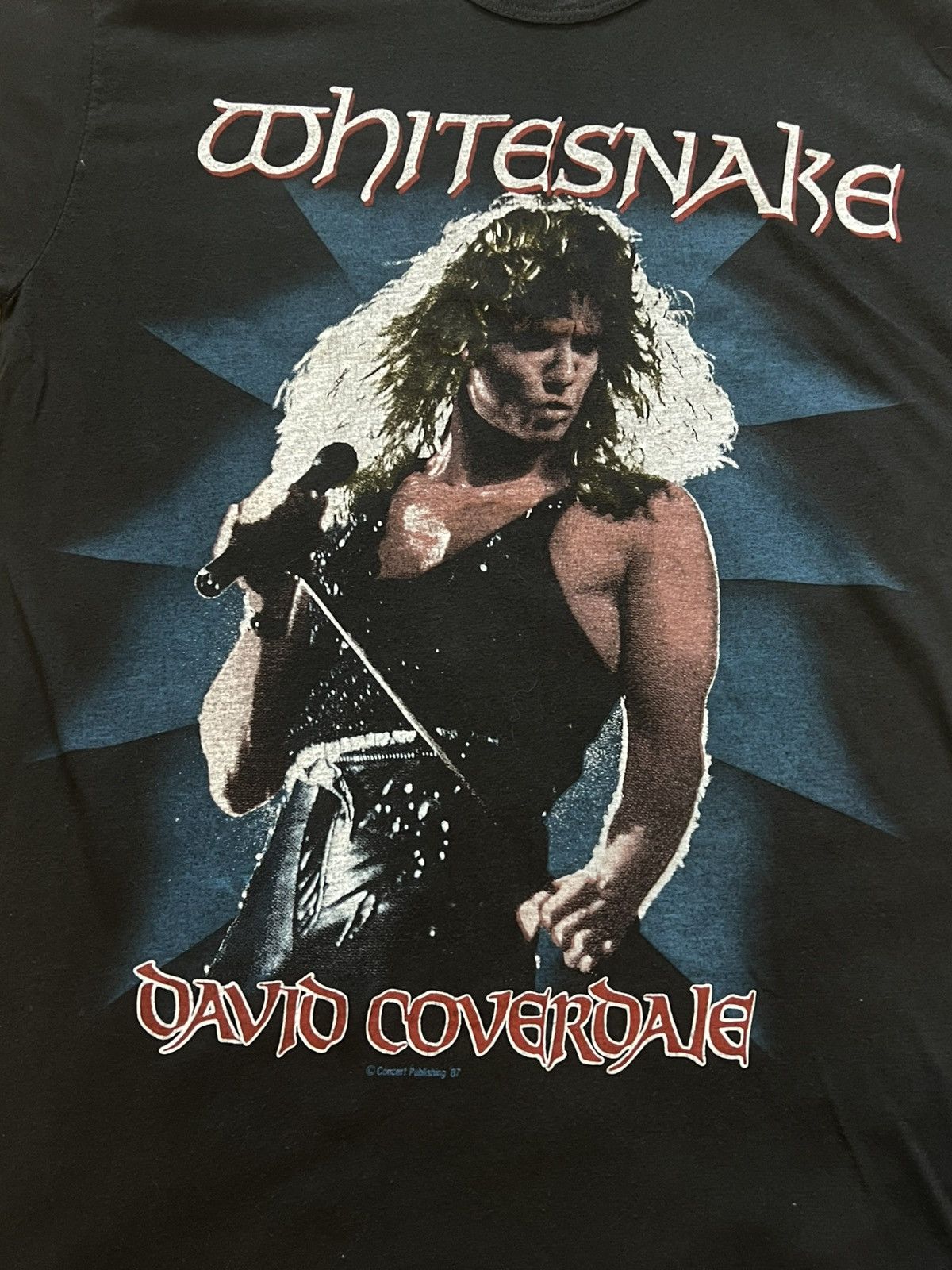Band Tees Vintage 1987 Whitesnake tour tee David Coverdale rare band Size US M / EU 48-50 / 2 - 3 Thumbnail