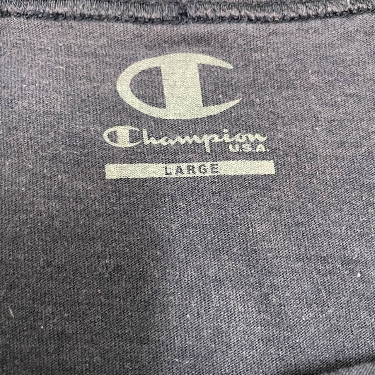 Champion ⭐️SALE⭐️ [L] JOHNSONBURG RUNNER CHAMPION USA TSHIRT Size US L / EU 52-54 / 3 - 3 Thumbnail