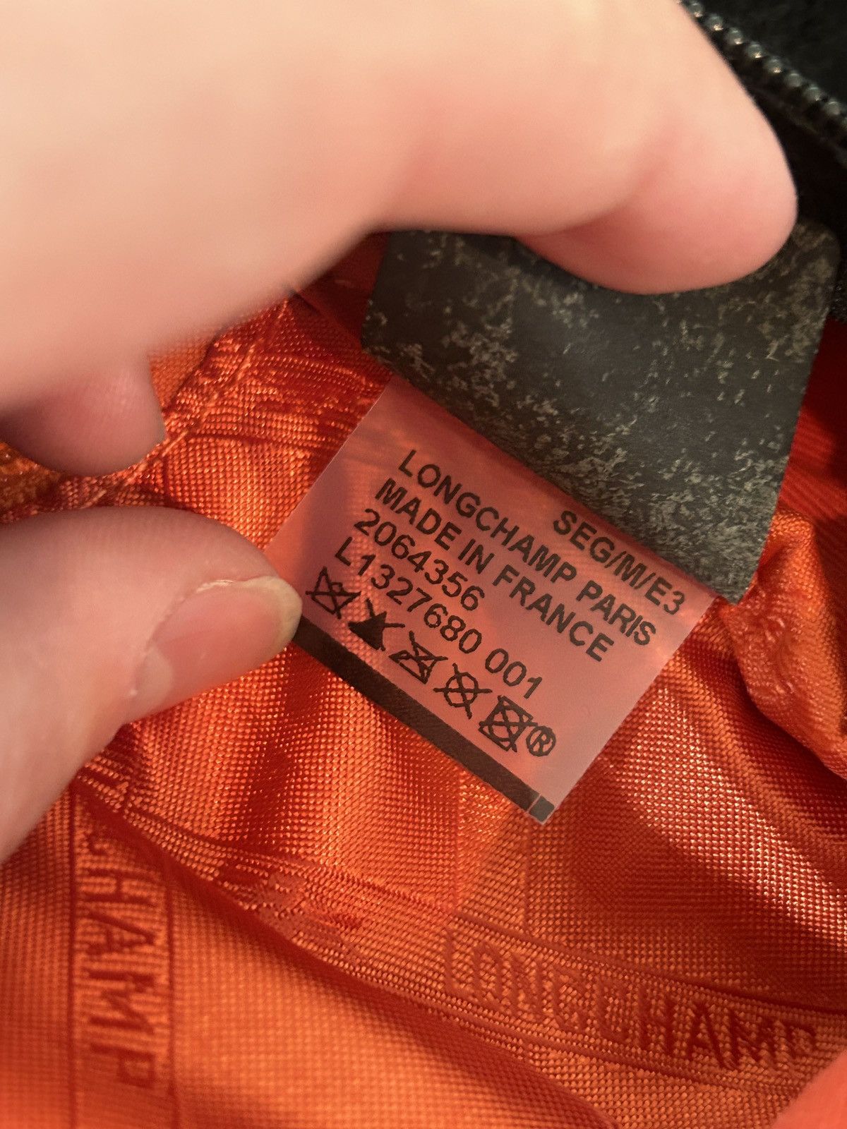 Longchamp Shayne Oliver x Long champ Exclusive Hiatus Back pack Size ONE SIZE - 7 Thumbnail