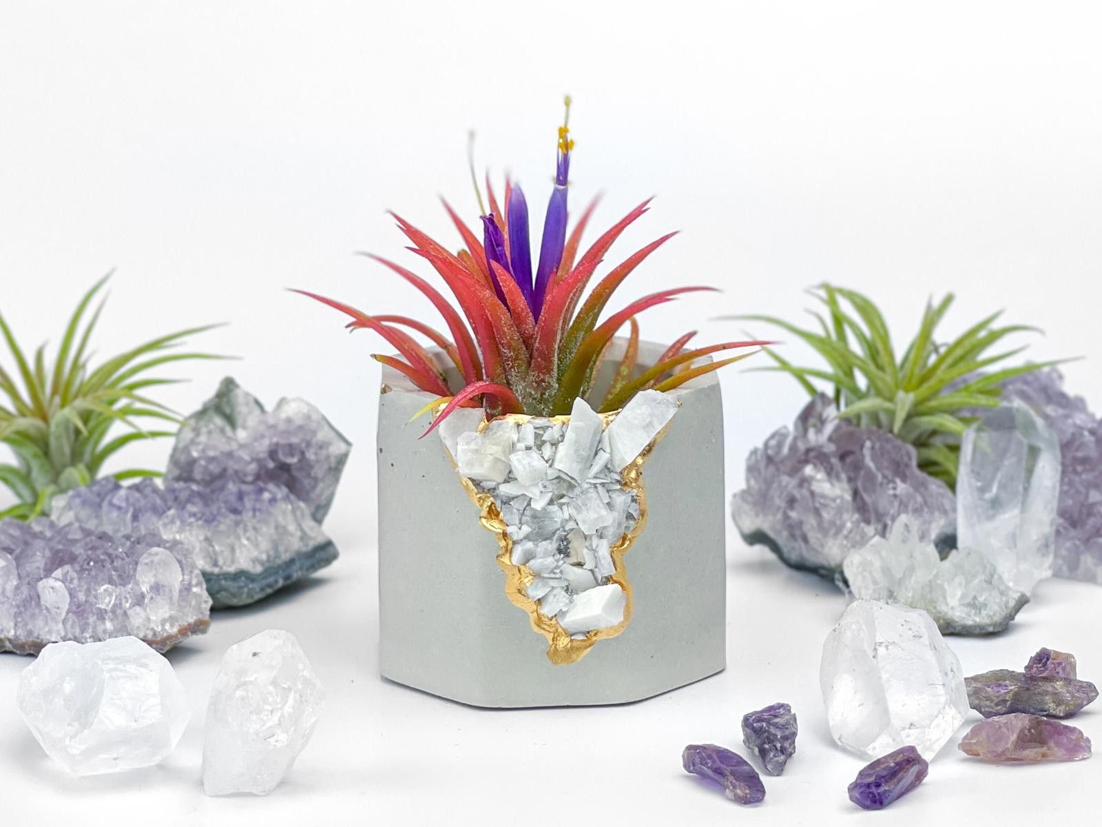 Other Moonstone Crystal Planter air plant holder for yoga Size ONE SIZE - 4 Thumbnail