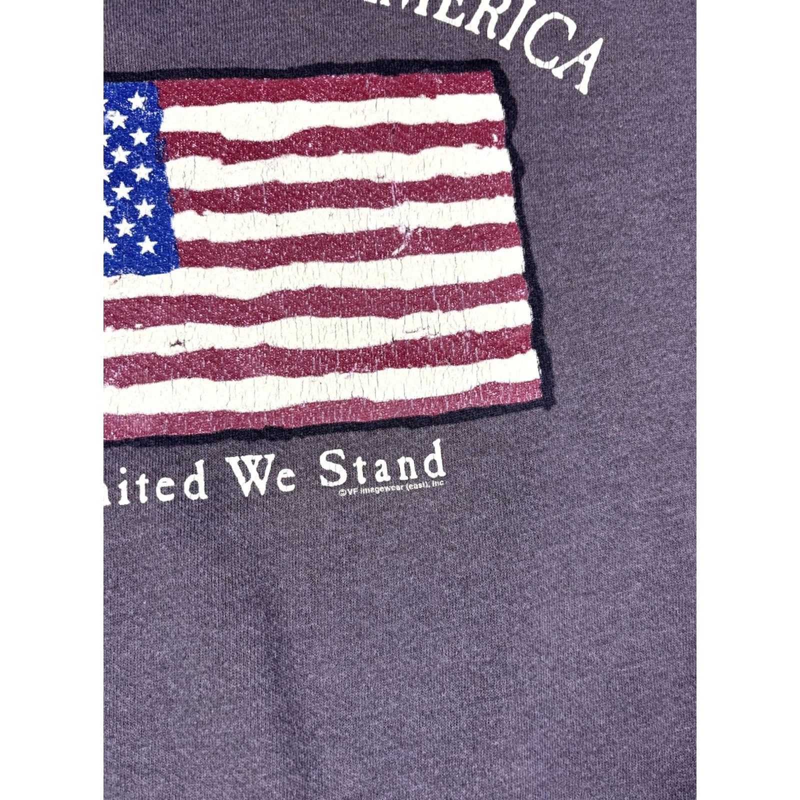 Vintage VINTAGE USA Flag Sweatshirt Pullover Mens M Brown 90s Graphic Print Fleece Size US M / EU 48-50 / 2 - 3 Thumbnail