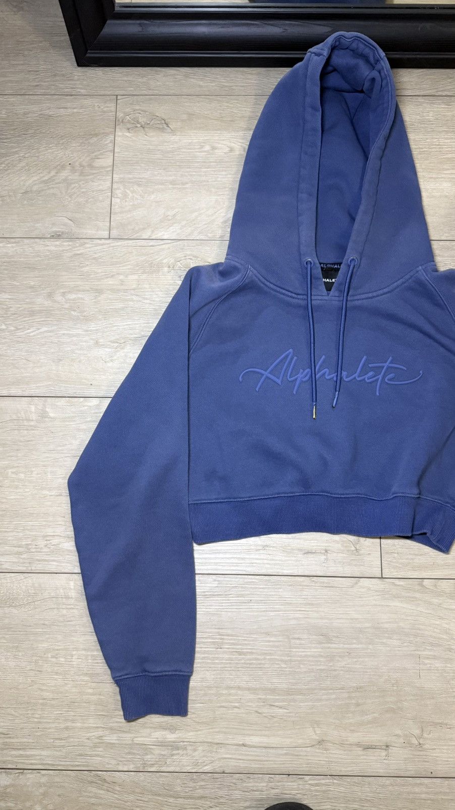 Alphalete Athletics Vintage / Y2K Women’s Alphalete Cropped Hoodie Size S / US 4 / IT 40 - 2 Thumbnail