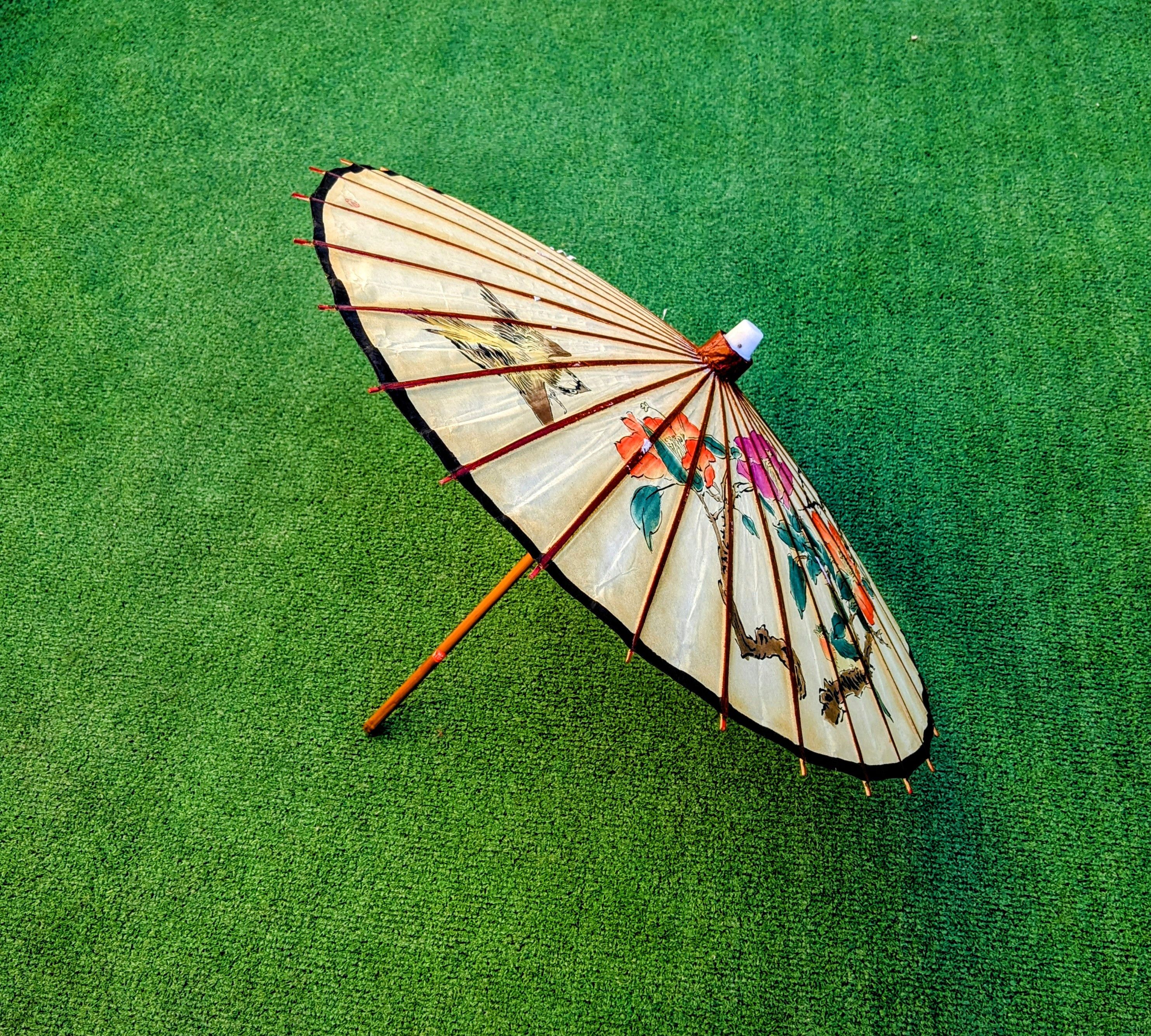 Vintage Sparrow & Flowers Small Bamboo Wax Paper Parasol Umbrella Size ONE SIZE - 1 Thumbnail
