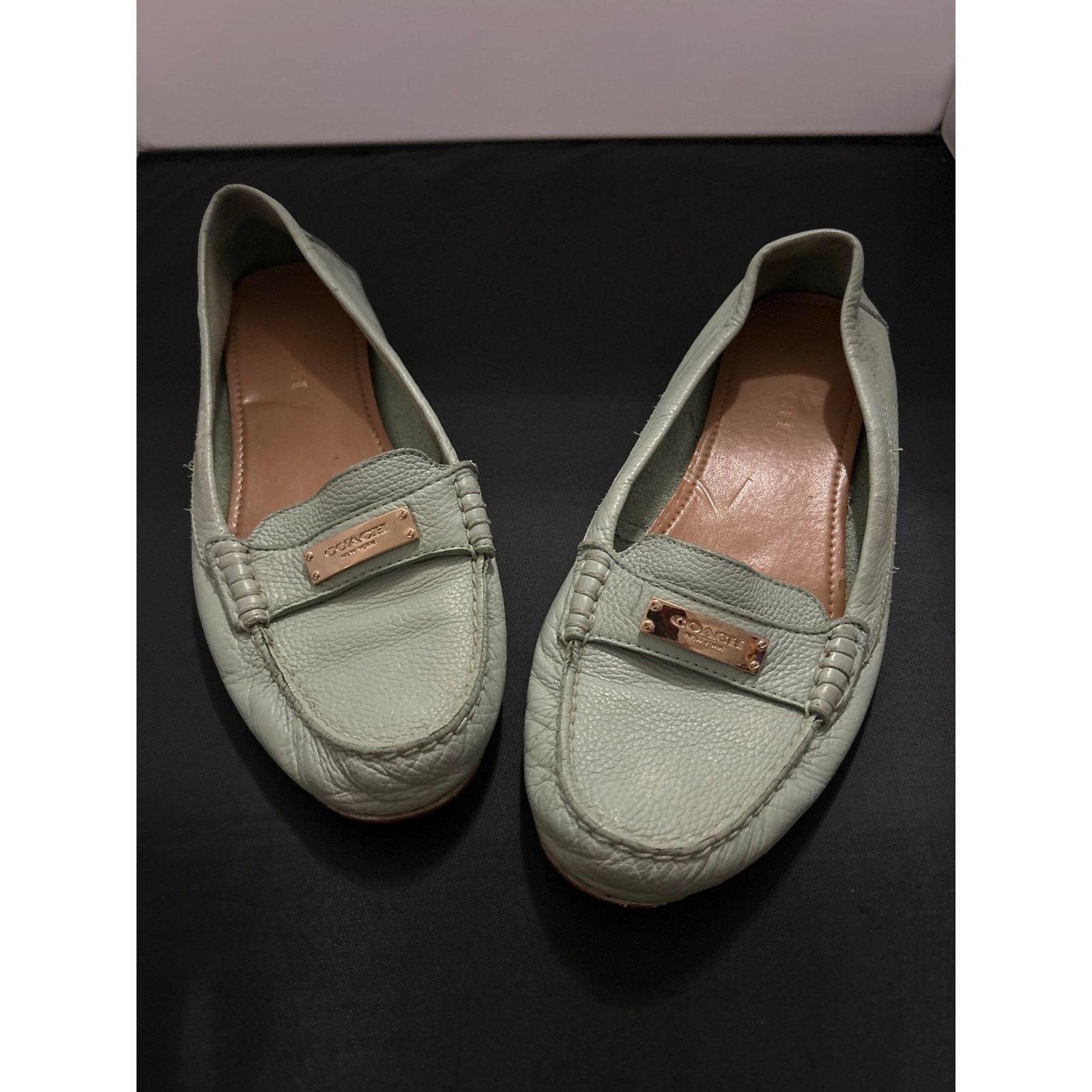 Coach Coach Fredrica Pale Mint Green Leather Loafer Flats Size 10 Size US 10 / IT 40 - 1 Thumbnail