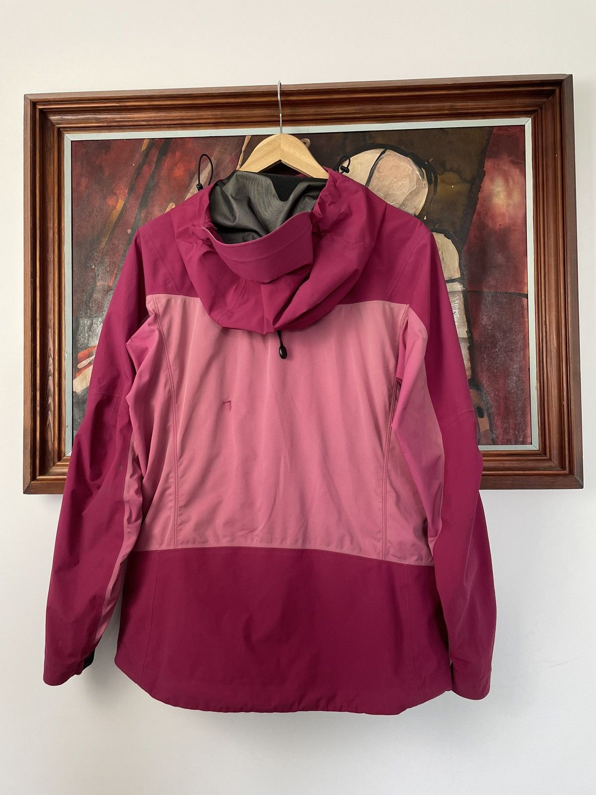 Arc'teryx Arc’Teryx Jacket Pink Women Outdoor Hype Streetwear Goretex Size M / US 6-8 / IT 42-44 - 7 Thumbnail